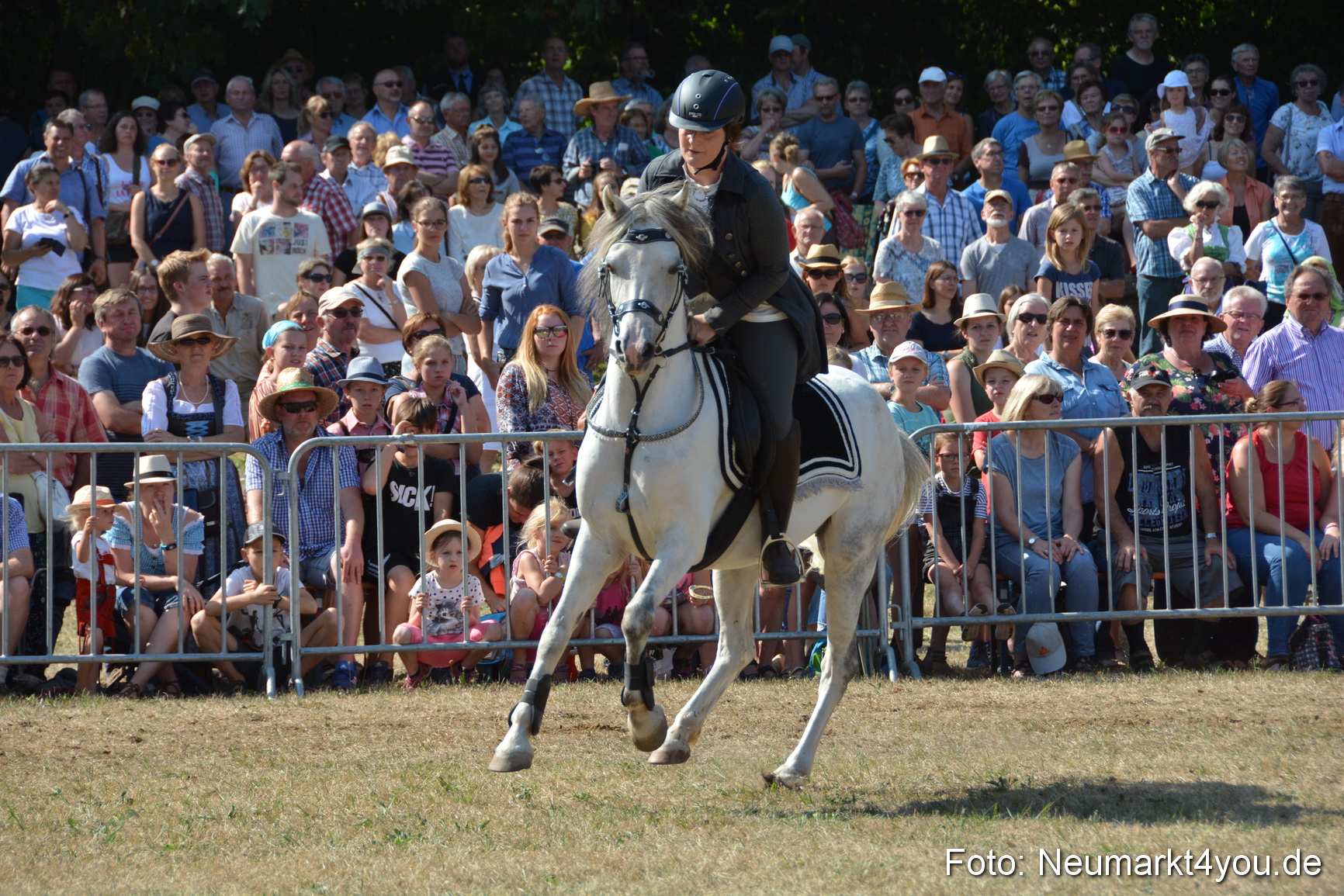 Pferde und Fohlenschau JURA Volksfest 2018 0277