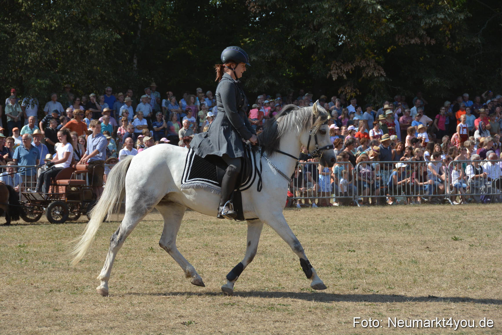Pferde und Fohlenschau JURA Volksfest 2018 0281