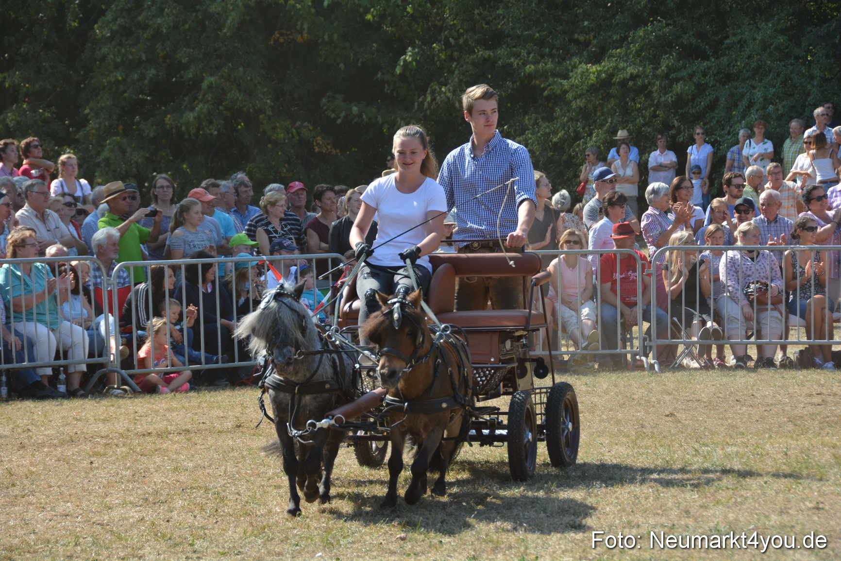 Pferde und Fohlenschau JURA Volksfest 2018 0282