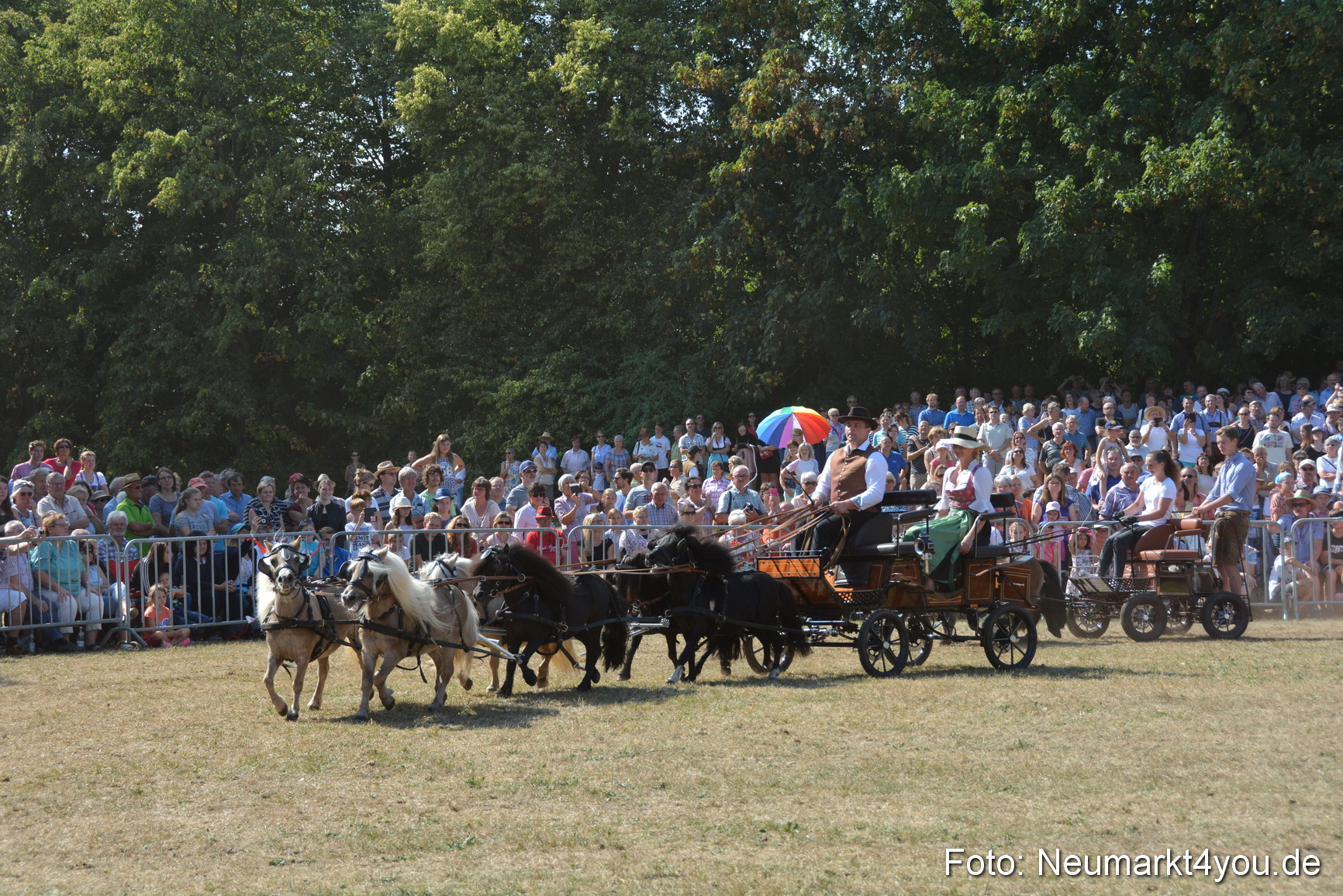 Pferde und Fohlenschau JURA Volksfest 2018 0283
