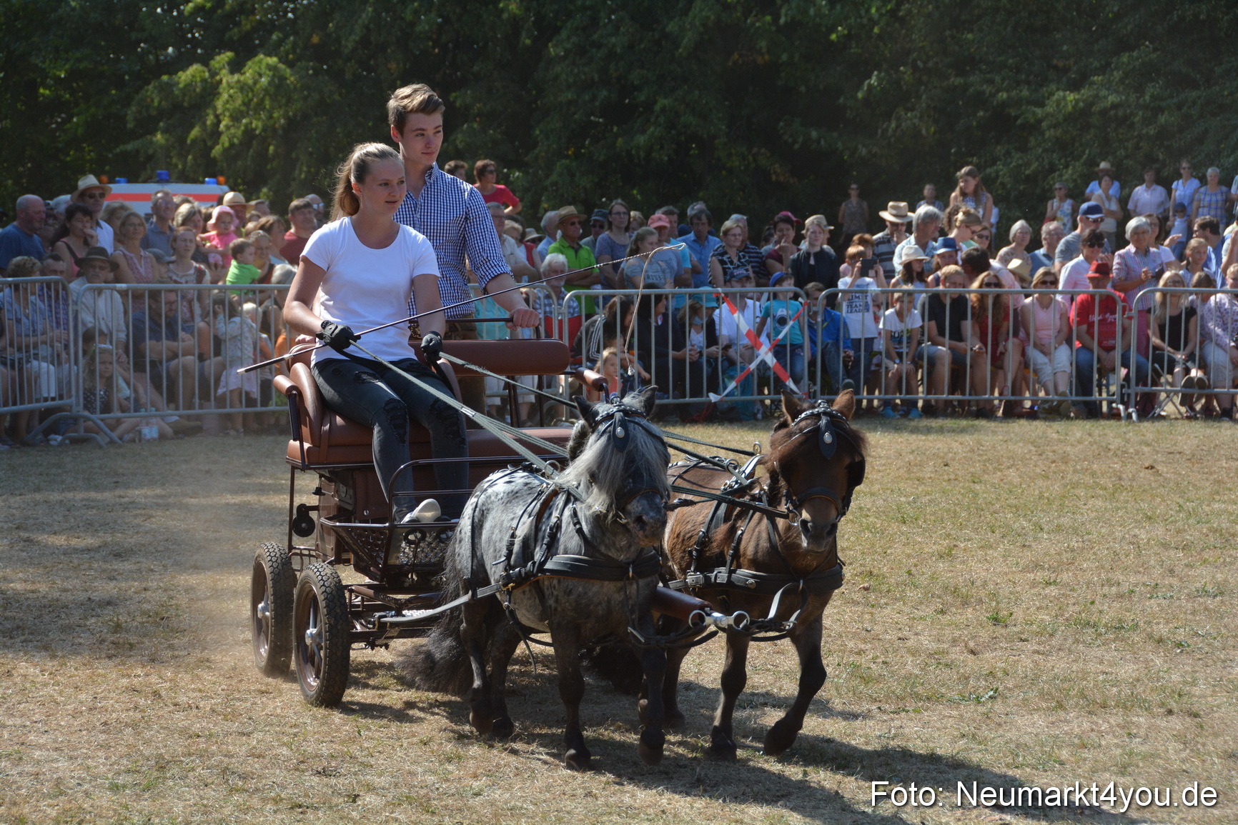 Pferde und Fohlenschau JURA Volksfest 2018 0284