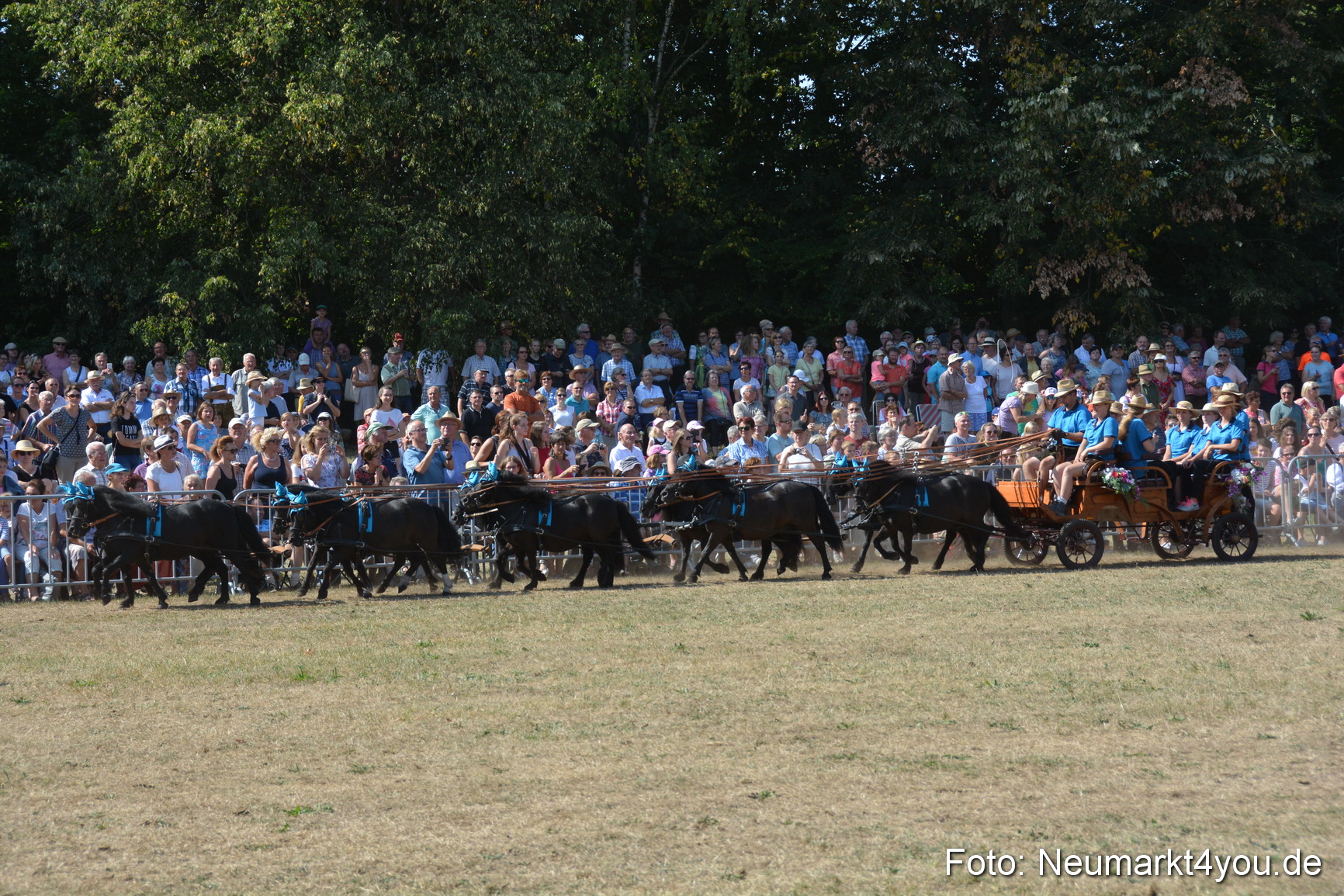 Pferde und Fohlenschau JURA Volksfest 2018 0285