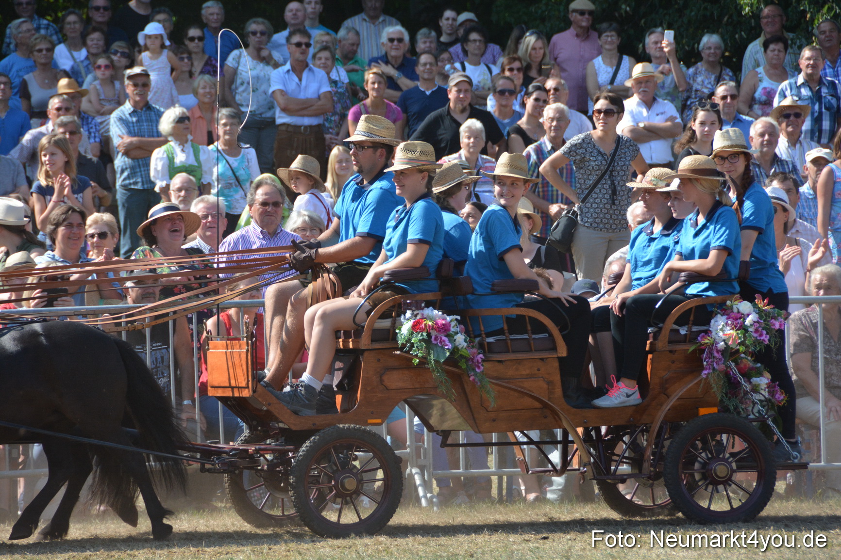 Pferde und Fohlenschau JURA Volksfest 2018 0286
