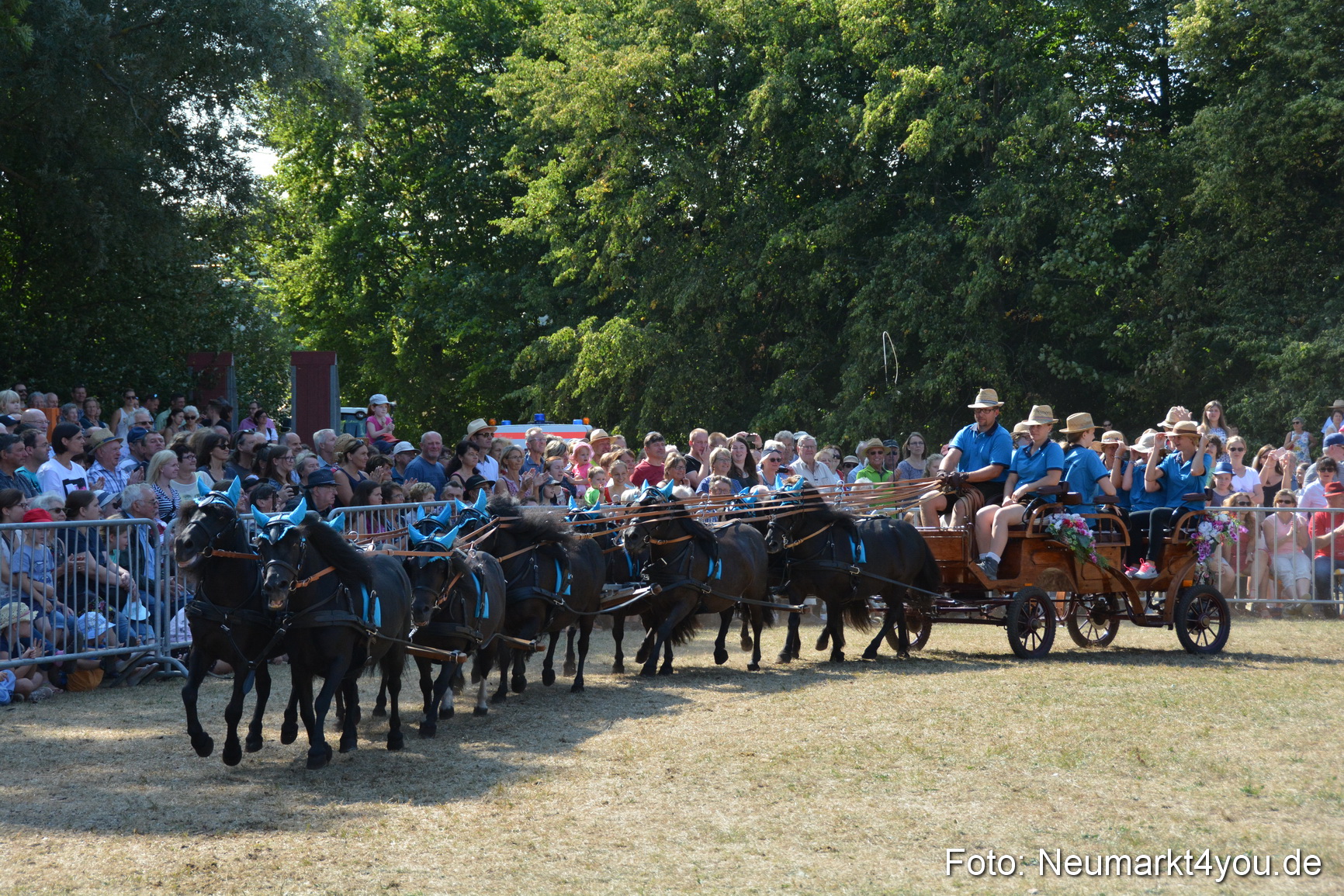 Pferde und Fohlenschau JURA Volksfest 2018 0287