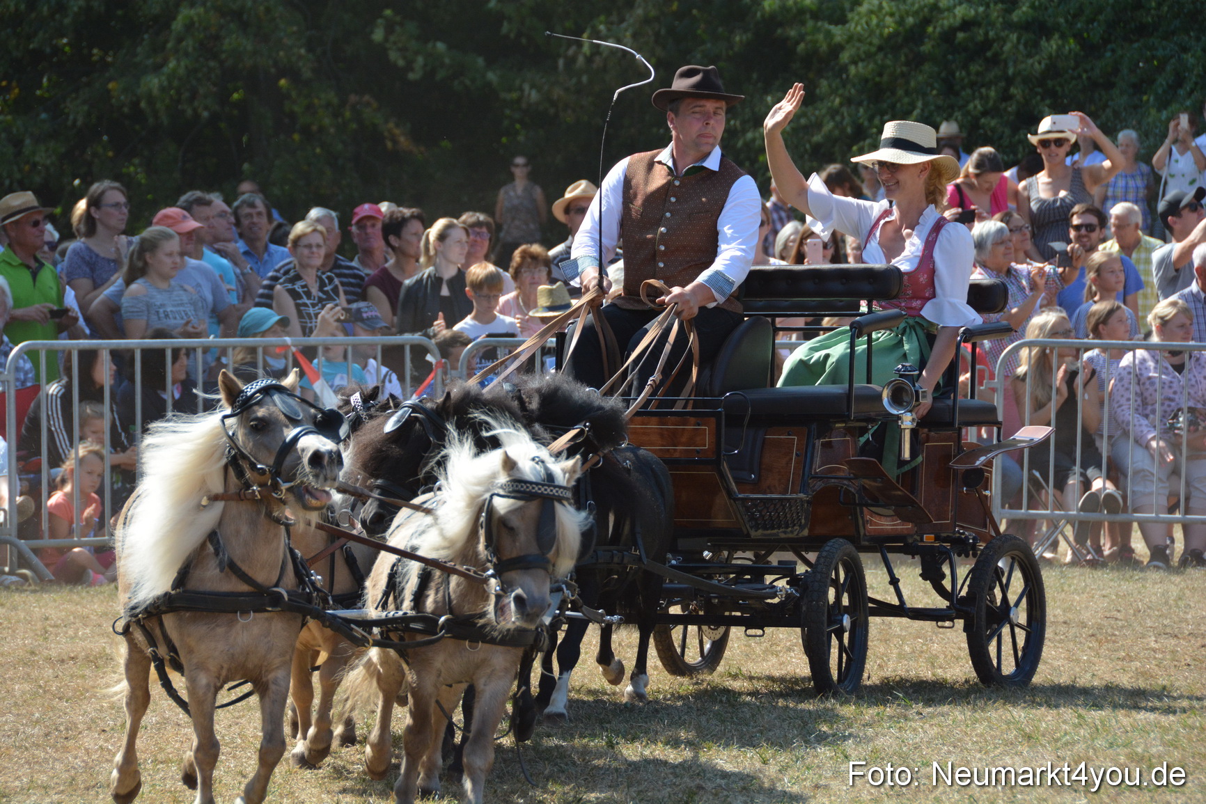 Pferde und Fohlenschau JURA Volksfest 2018 0289