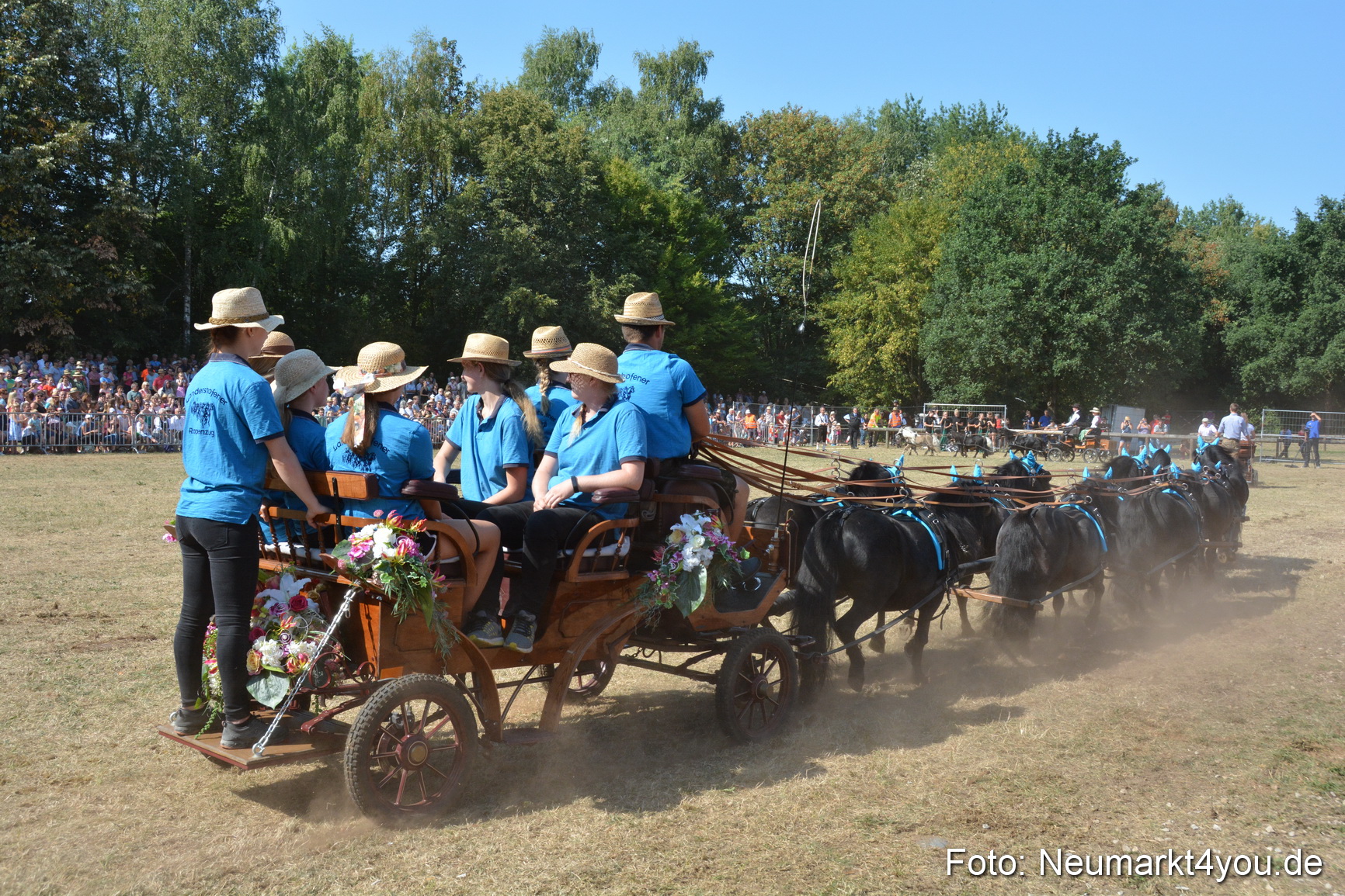 Pferde und Fohlenschau JURA Volksfest 2018 0291