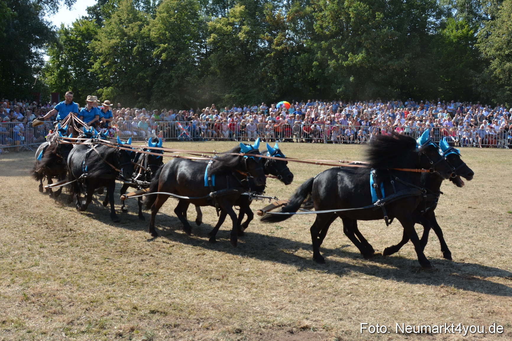 Pferde und Fohlenschau JURA Volksfest 2018 0294