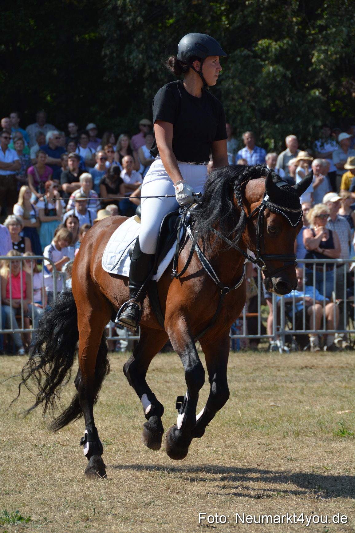 Pferde und Fohlenschau JURA Volksfest 2018 0296