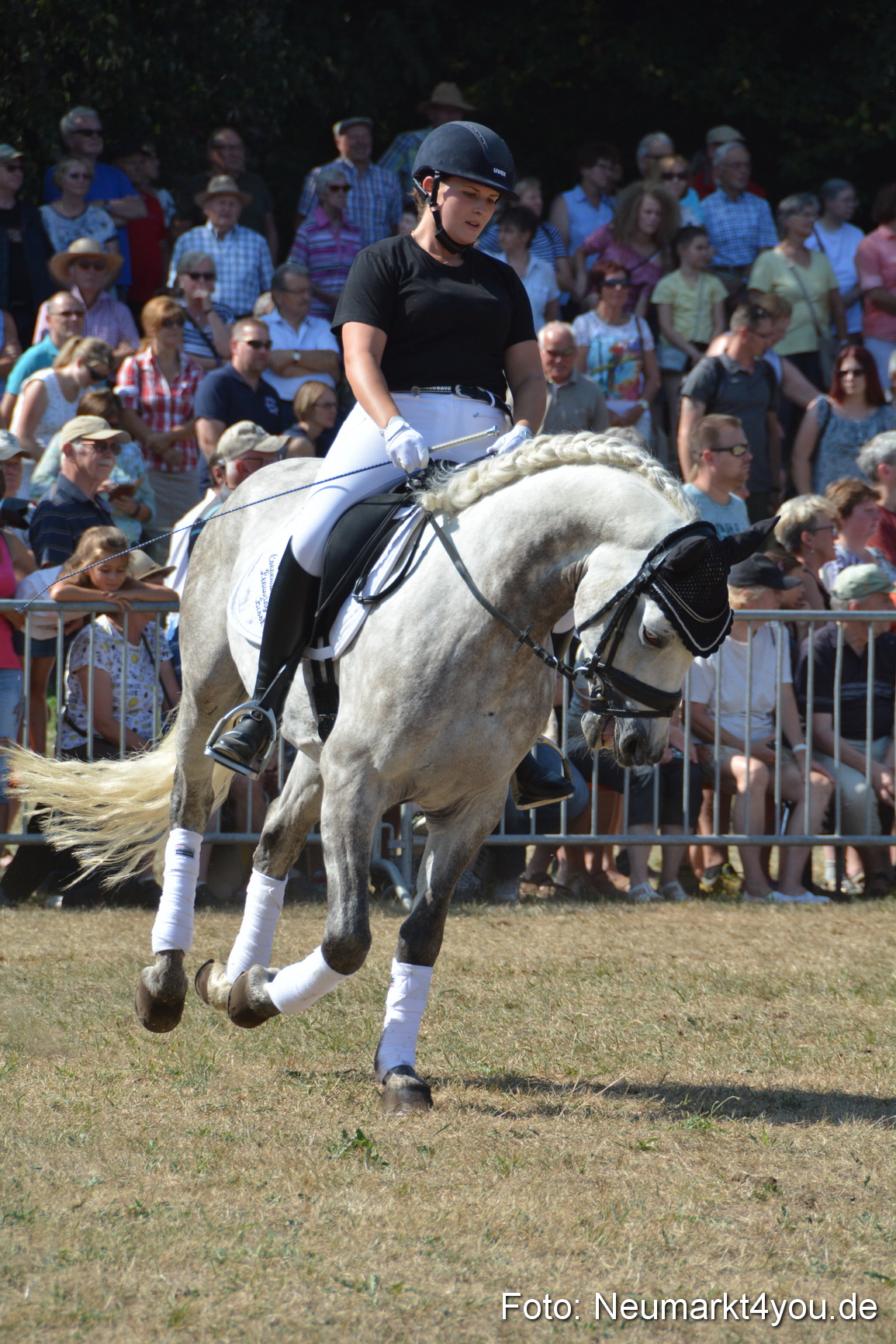 Pferde und Fohlenschau JURA Volksfest 2018 0297