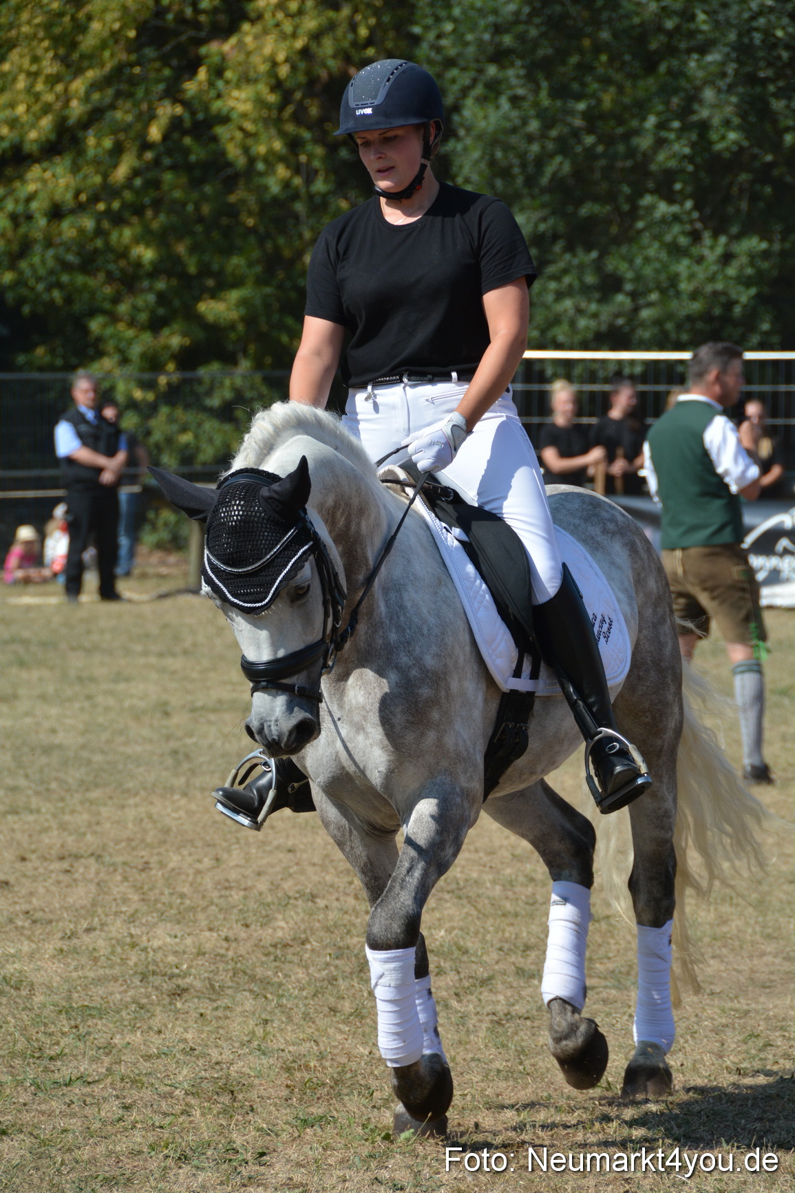 Pferde und Fohlenschau JURA Volksfest 2018 0298