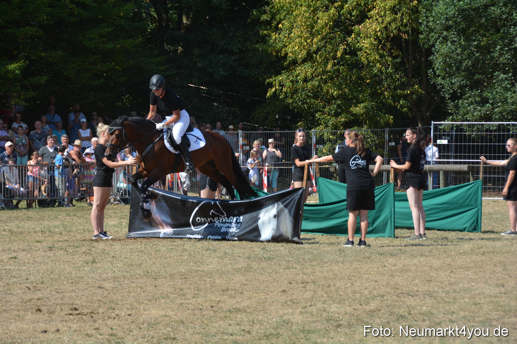 Pferde und Fohlenschau JURA Volksfest 2018 0299