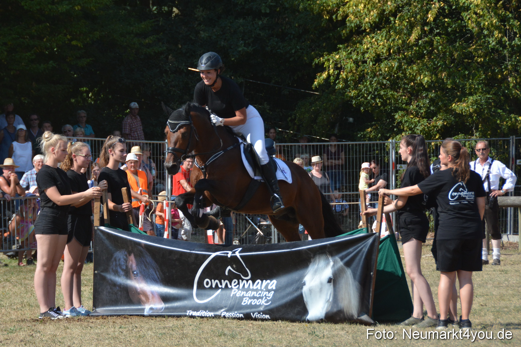 Pferde und Fohlenschau JURA Volksfest 2018 0300