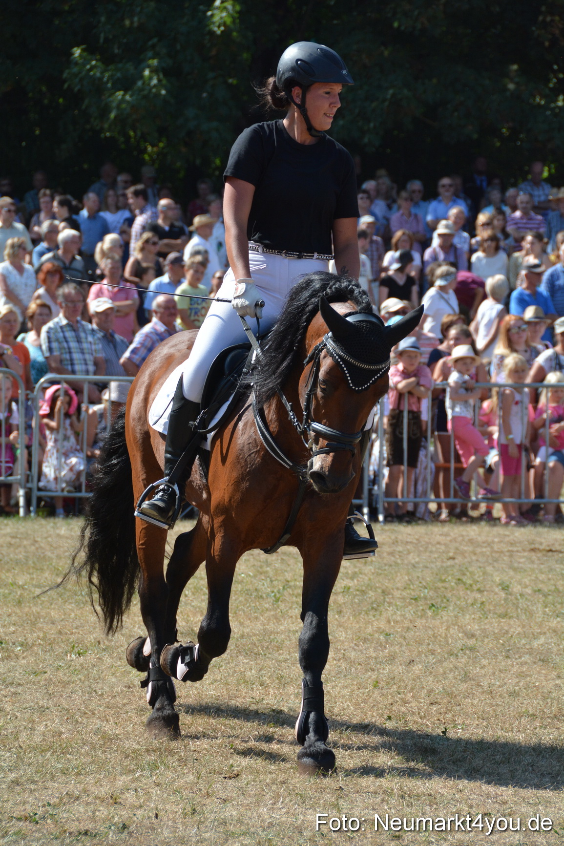 Pferde und Fohlenschau JURA Volksfest 2018 0301