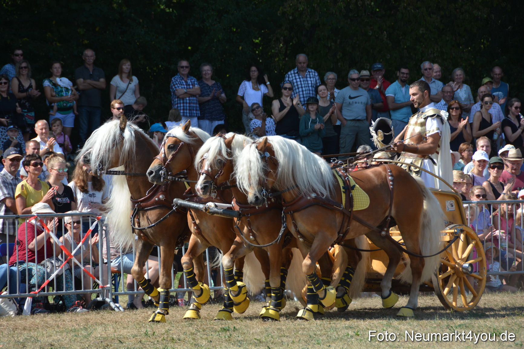 Pferde und Fohlenschau JURA Volksfest 2018 0302