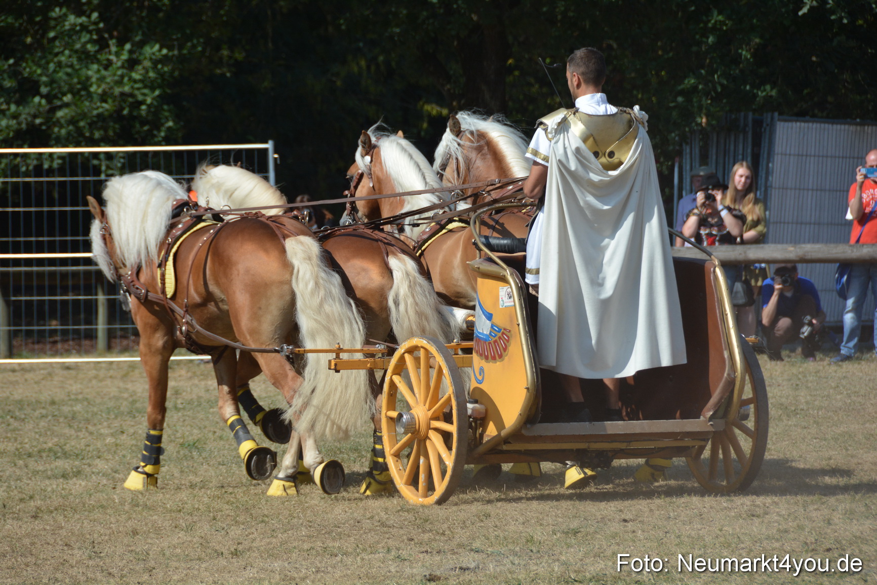 Pferde und Fohlenschau JURA Volksfest 2018 0304