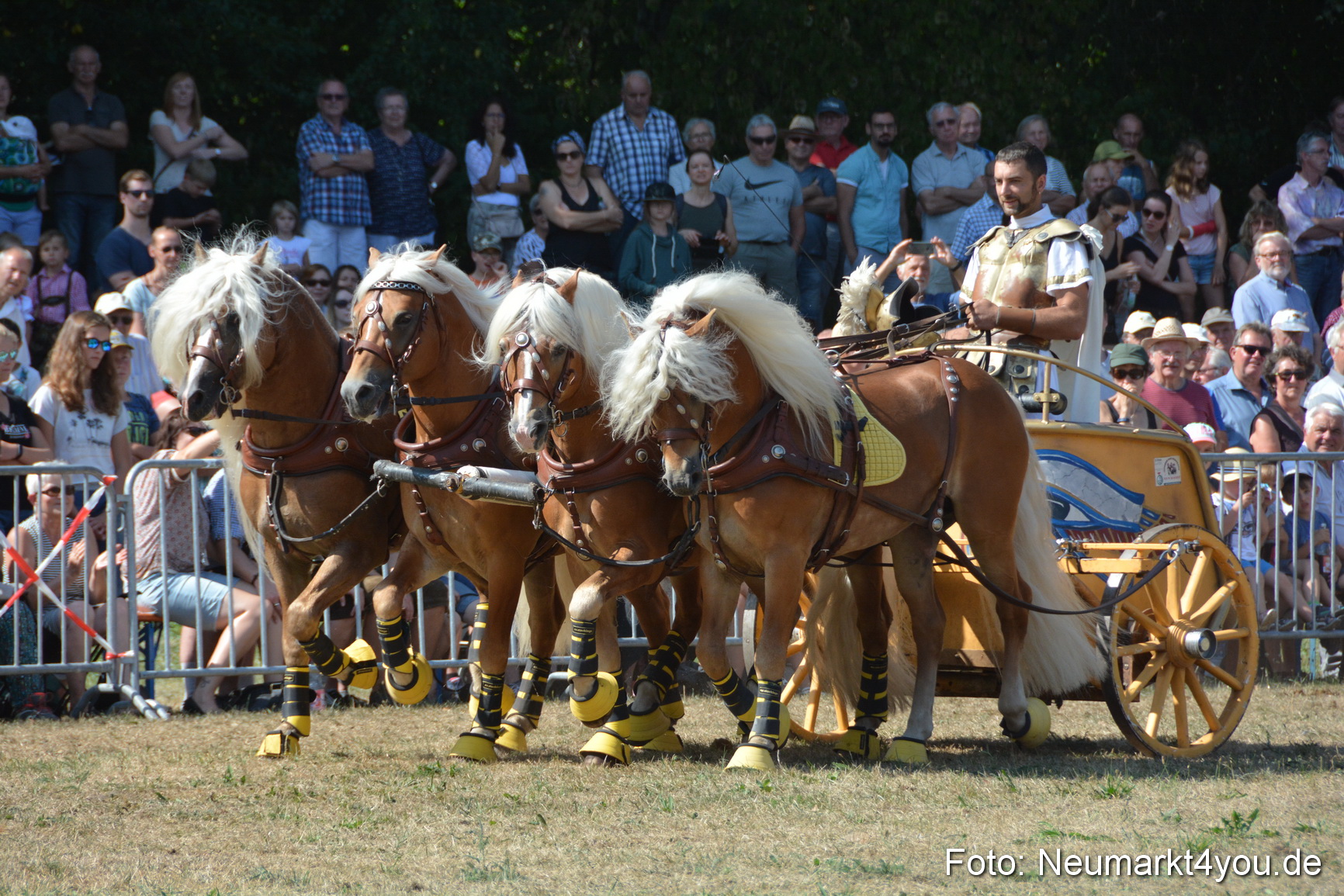 Pferde und Fohlenschau JURA Volksfest 2018 0305