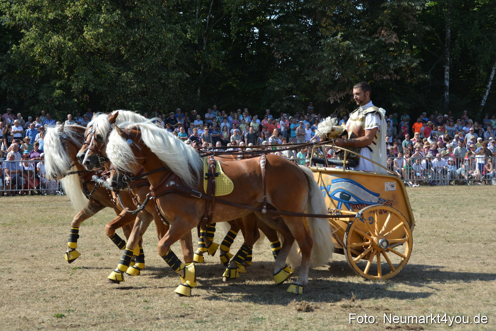 Pferde und Fohlenschau JURA Volksfest 2018 0306