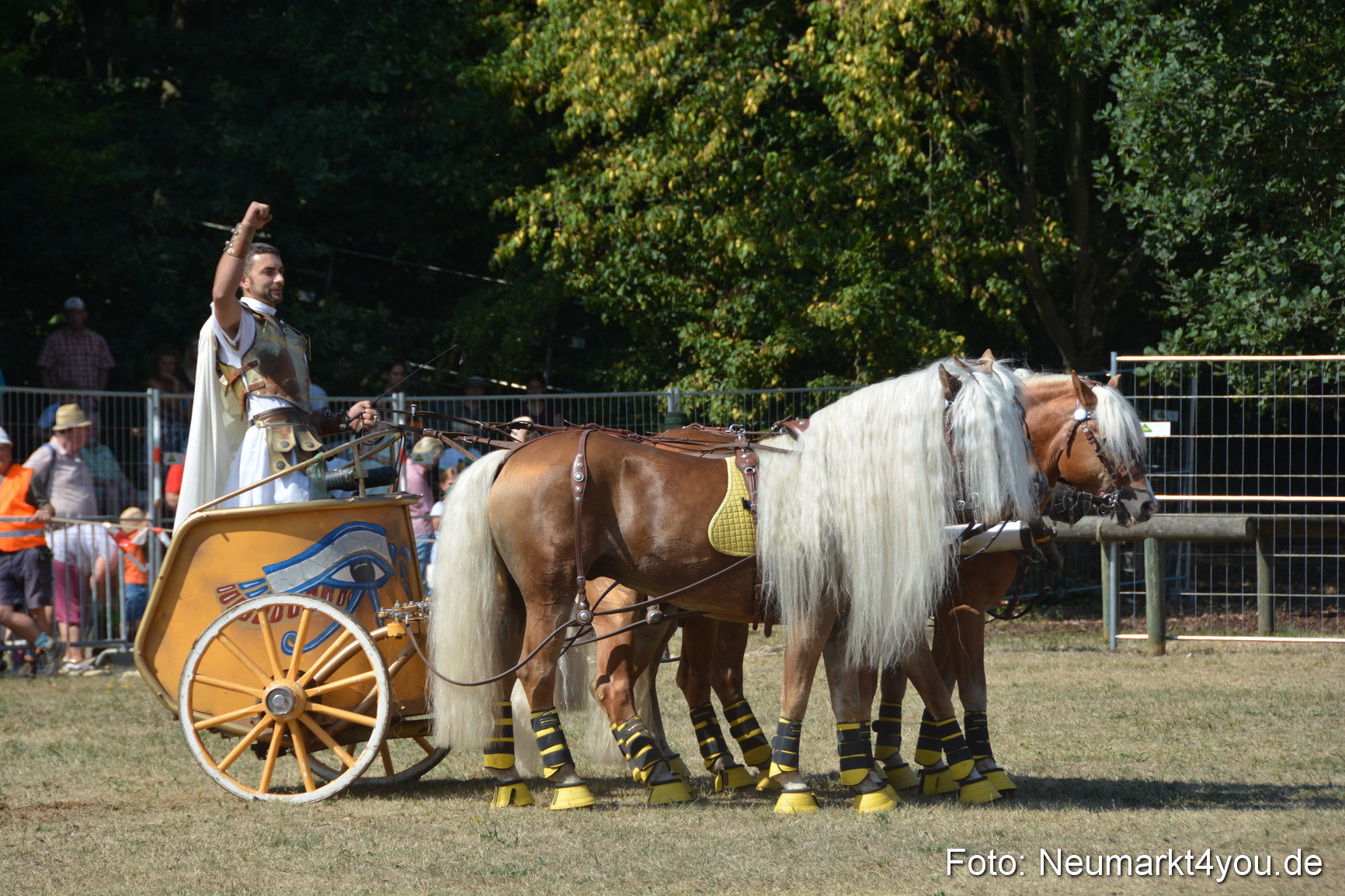Pferde und Fohlenschau JURA Volksfest 2018 0307