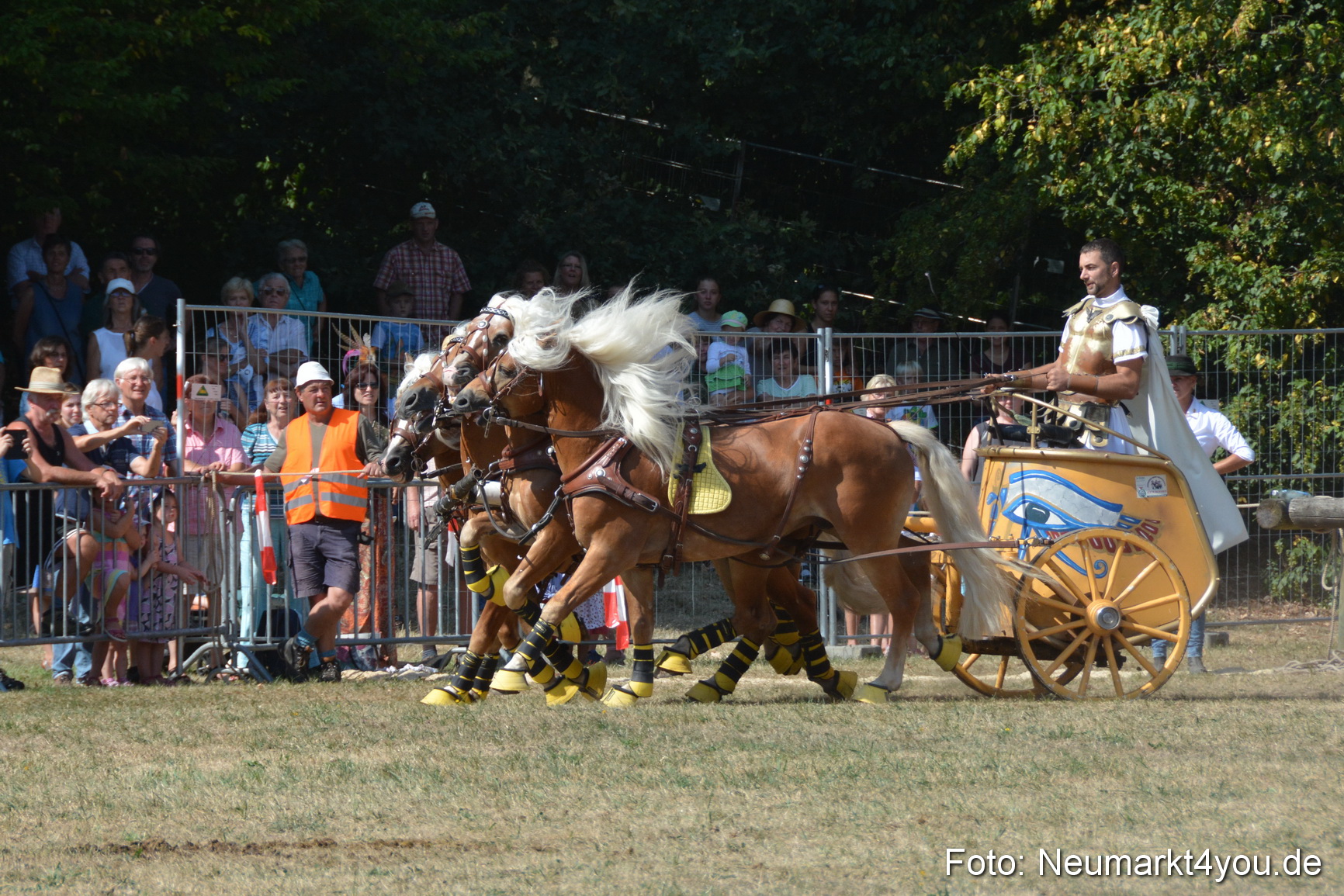 Pferde und Fohlenschau JURA Volksfest 2018 0308