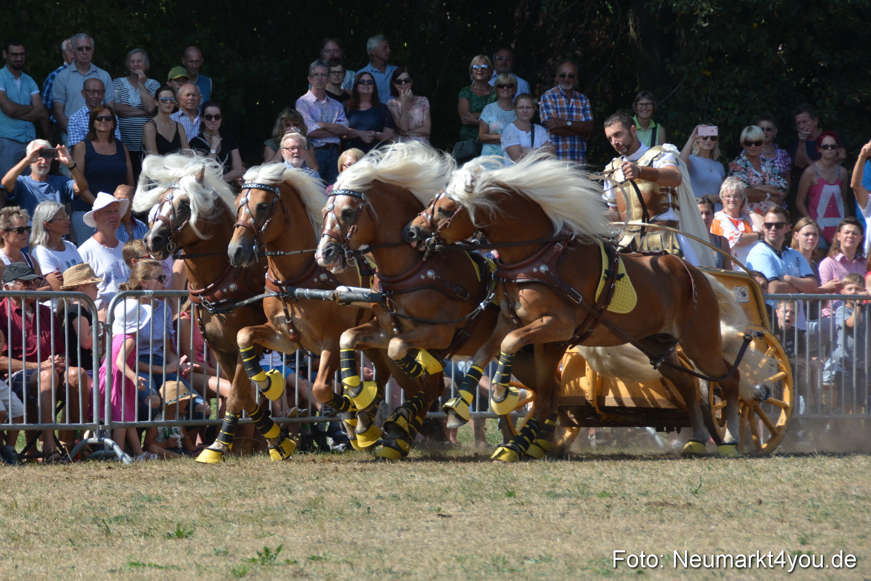 Pferde und Fohlenschau JURA Volksfest 2018 0309