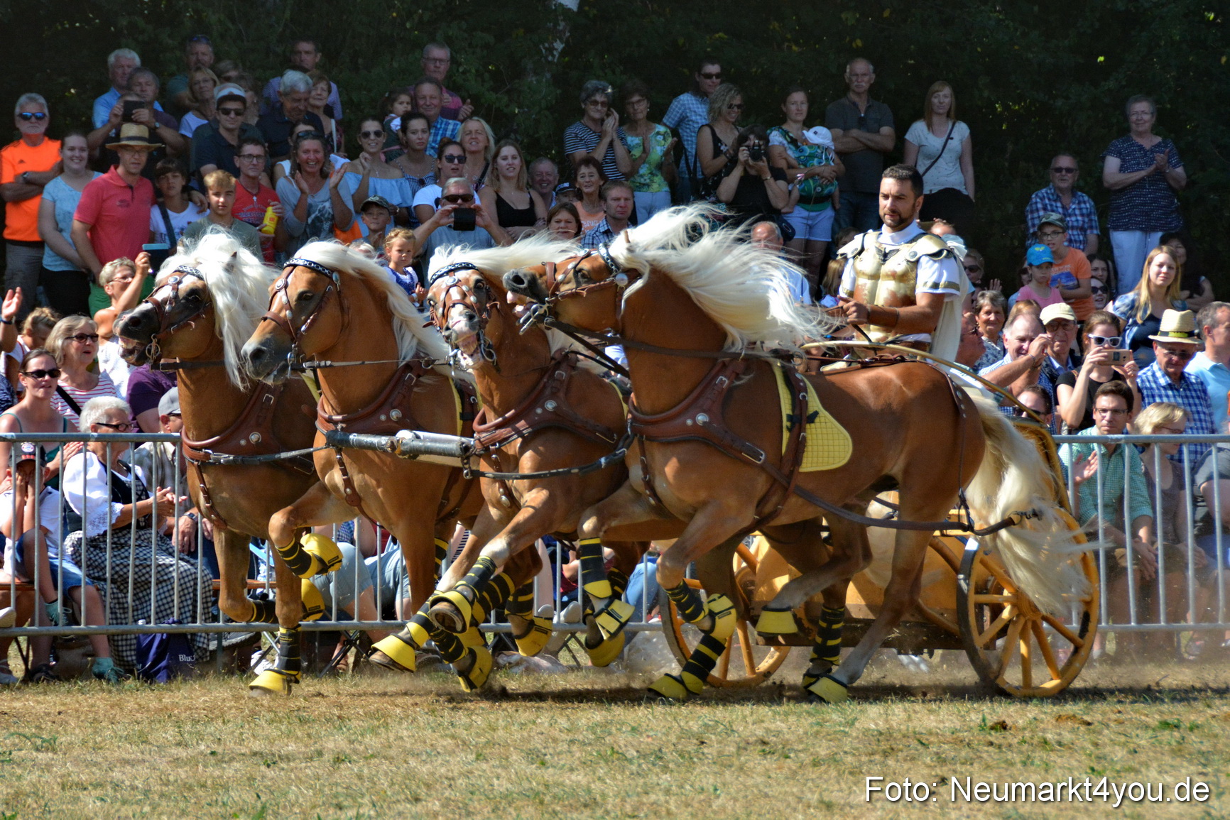 Pferde und Fohlenschau JURA Volksfest 2018 0312