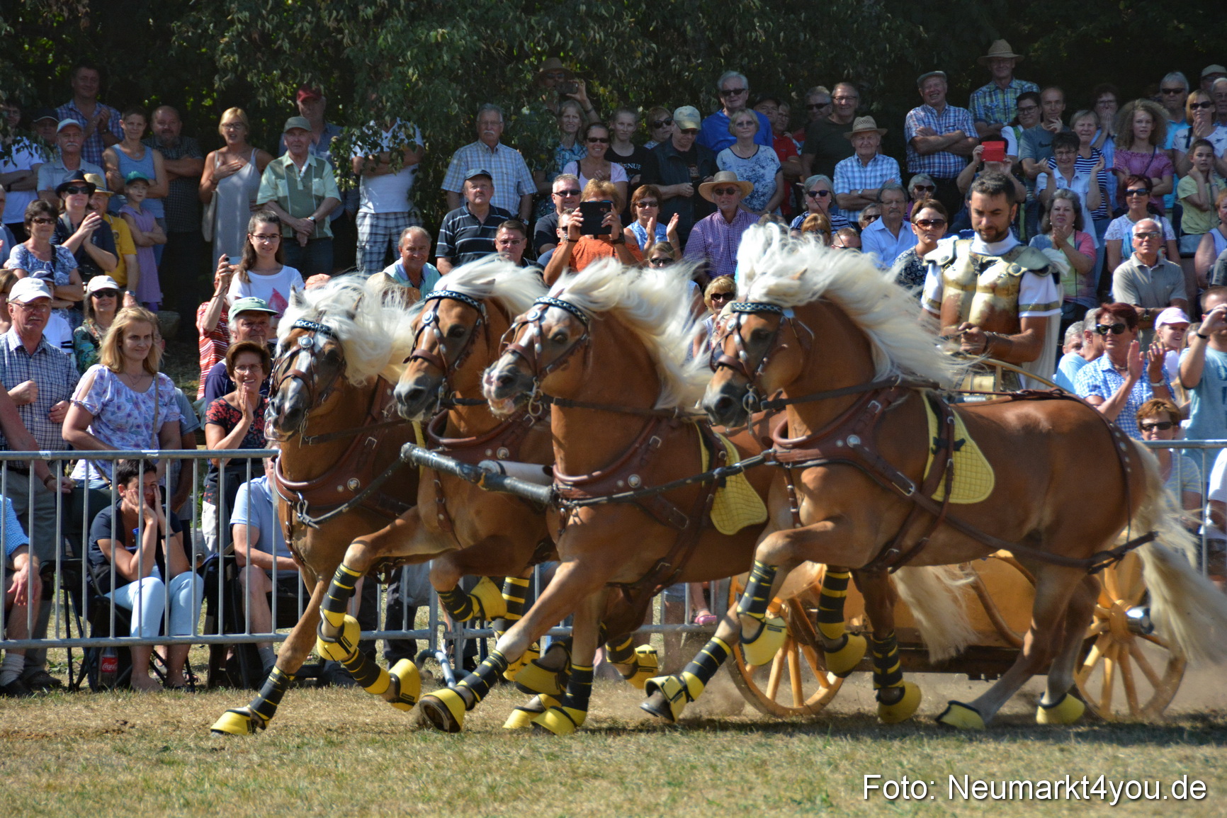 Pferde und Fohlenschau JURA Volksfest 2018 0313