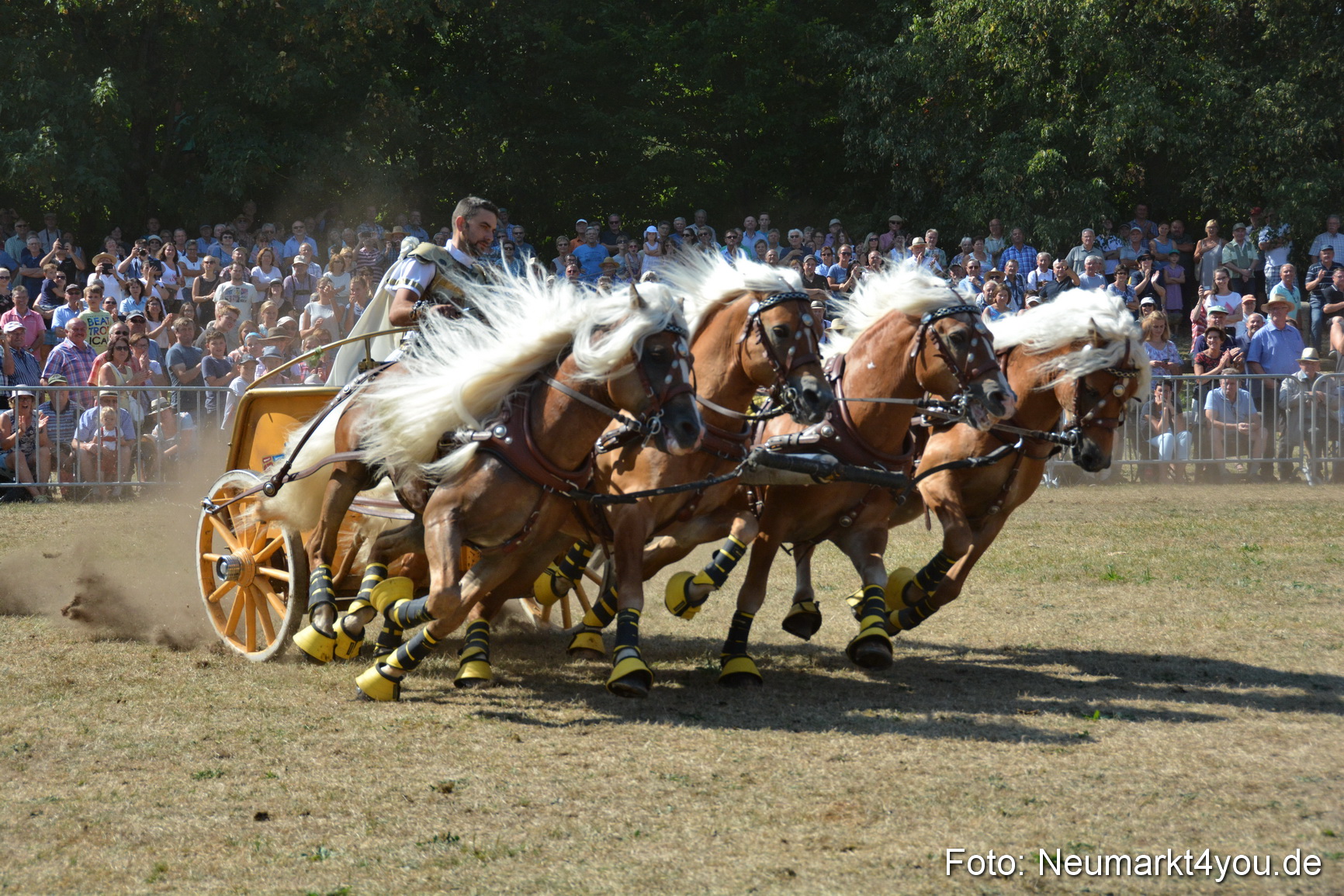 Pferde und Fohlenschau JURA Volksfest 2018 0314
