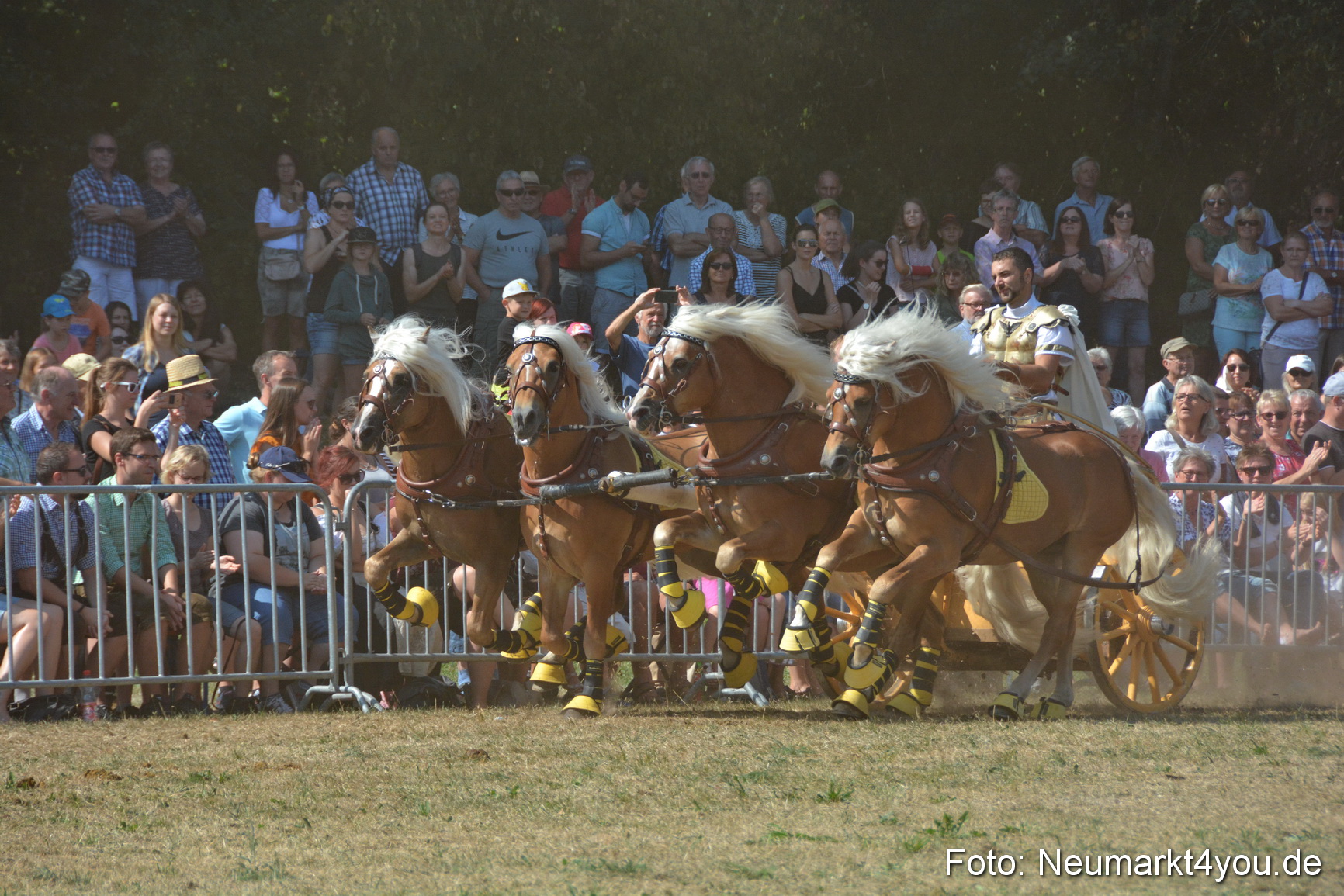 Pferde und Fohlenschau JURA Volksfest 2018 0315