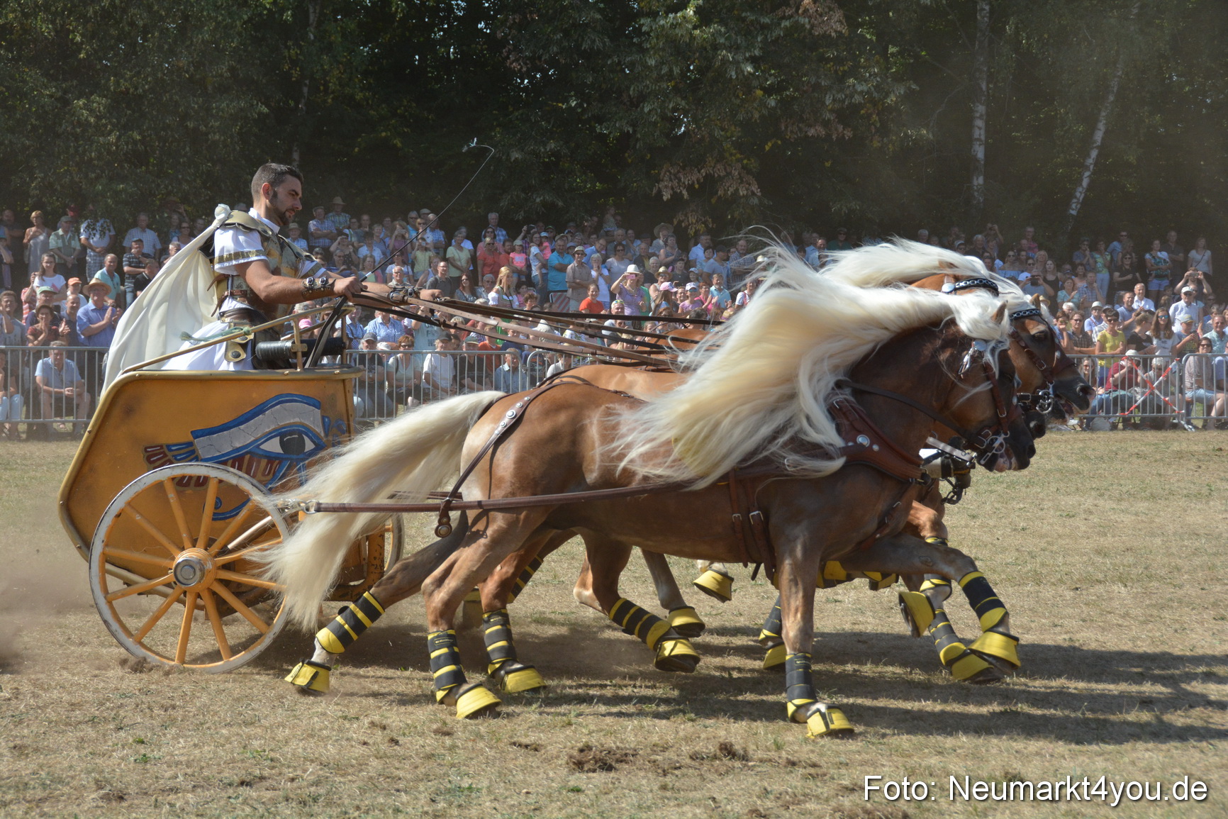 Pferde und Fohlenschau JURA Volksfest 2018 0316