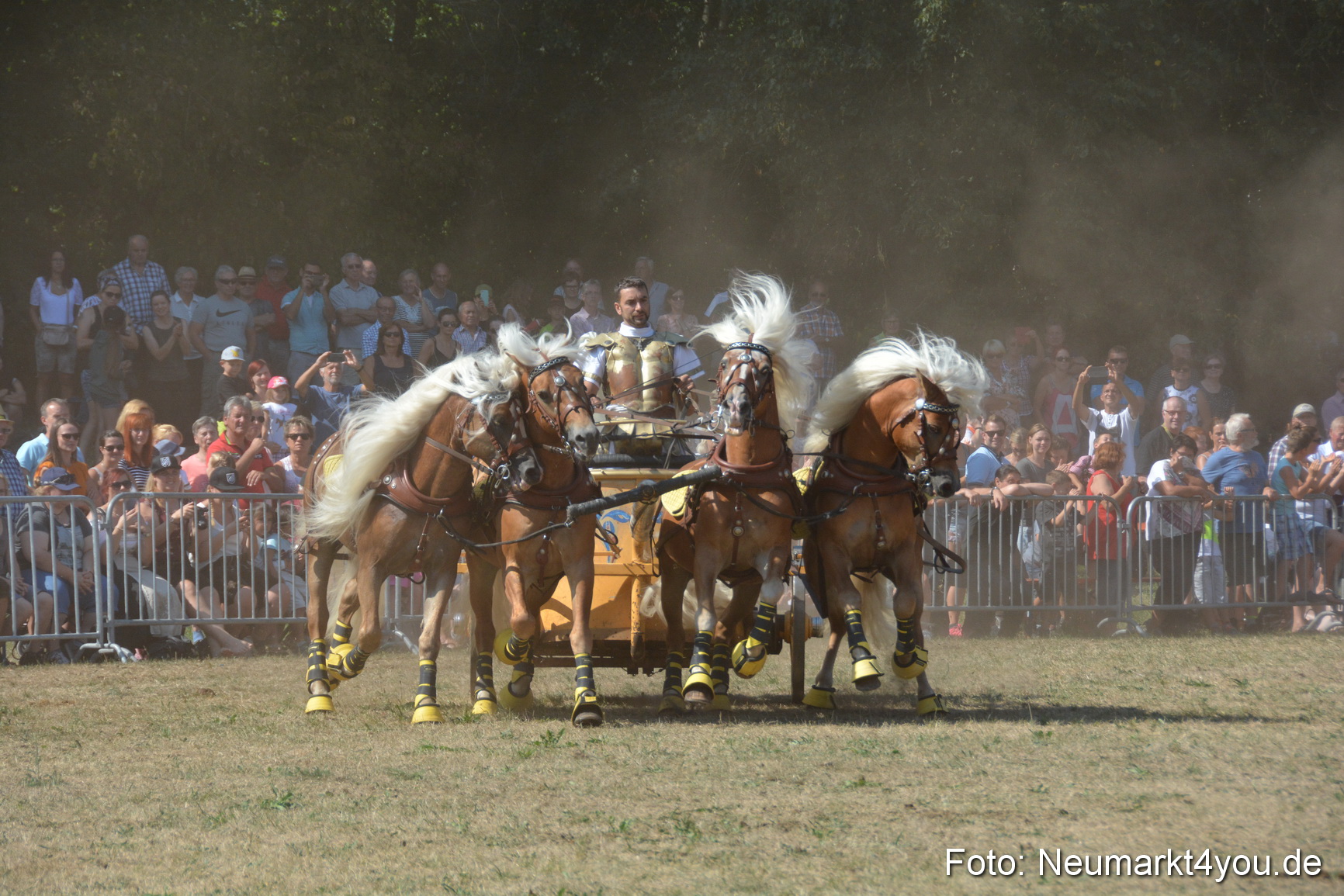 Pferde und Fohlenschau JURA Volksfest 2018 0317
