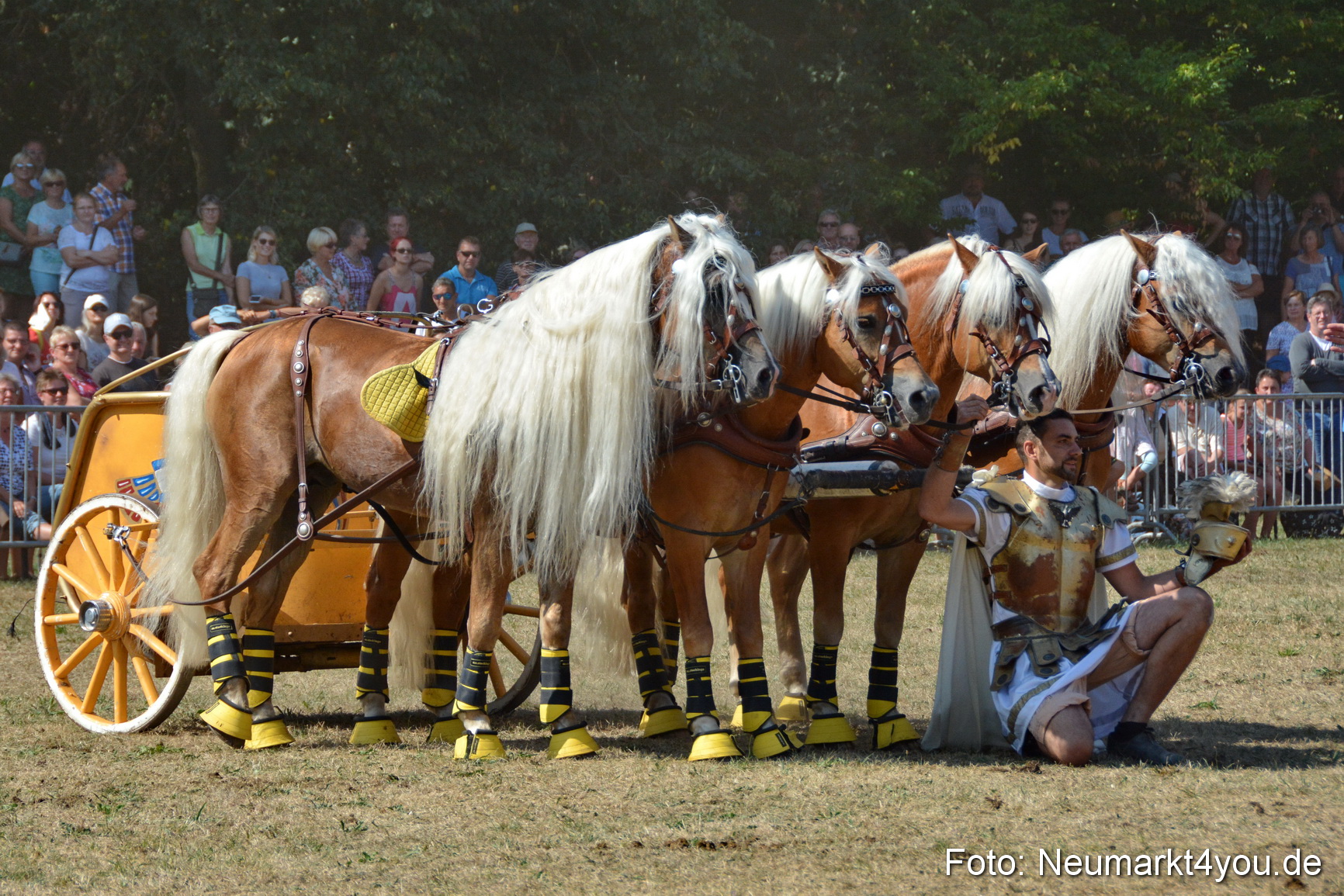 Pferde und Fohlenschau JURA Volksfest 2018 0318