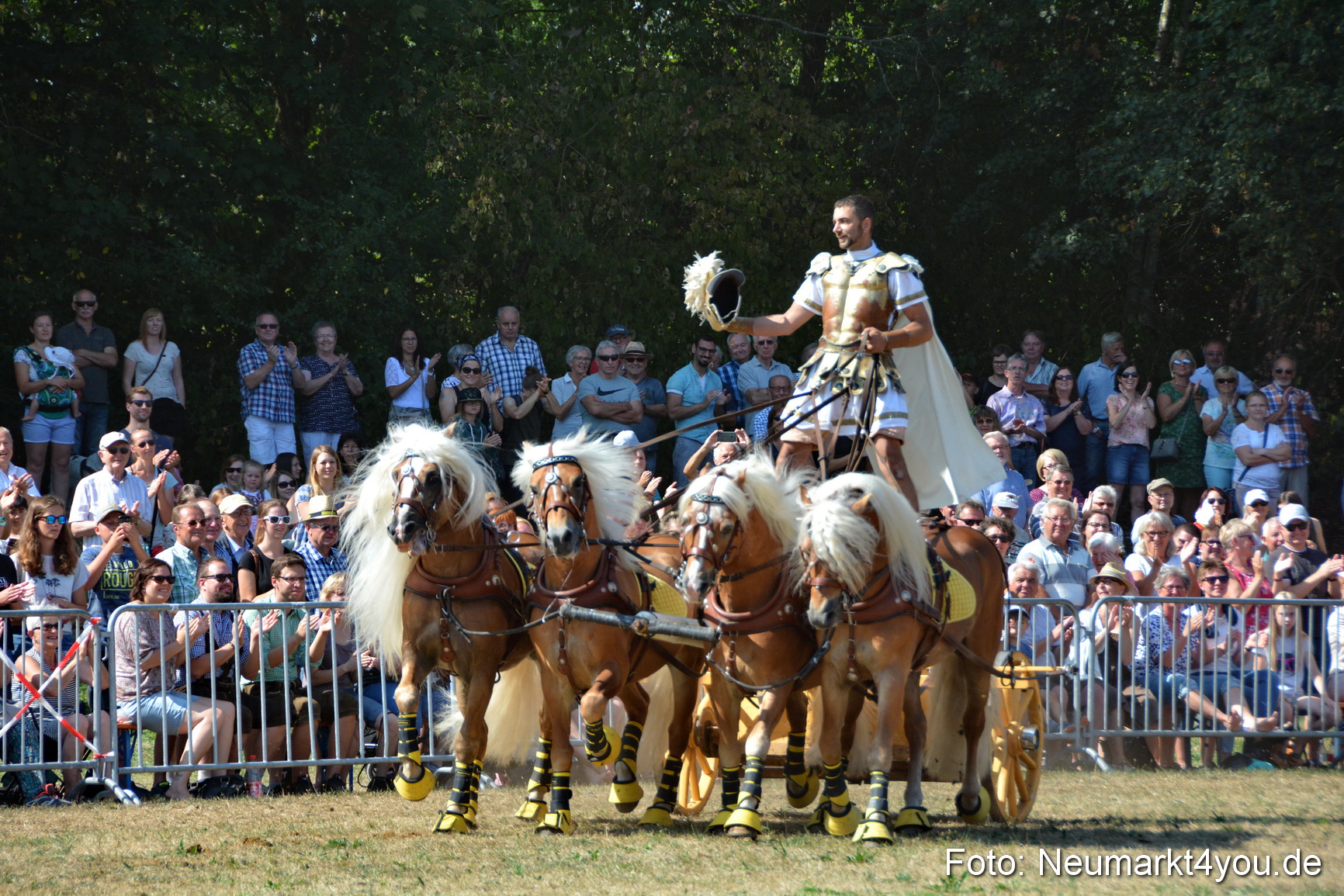 Pferde und Fohlenschau JURA Volksfest 2018 0319