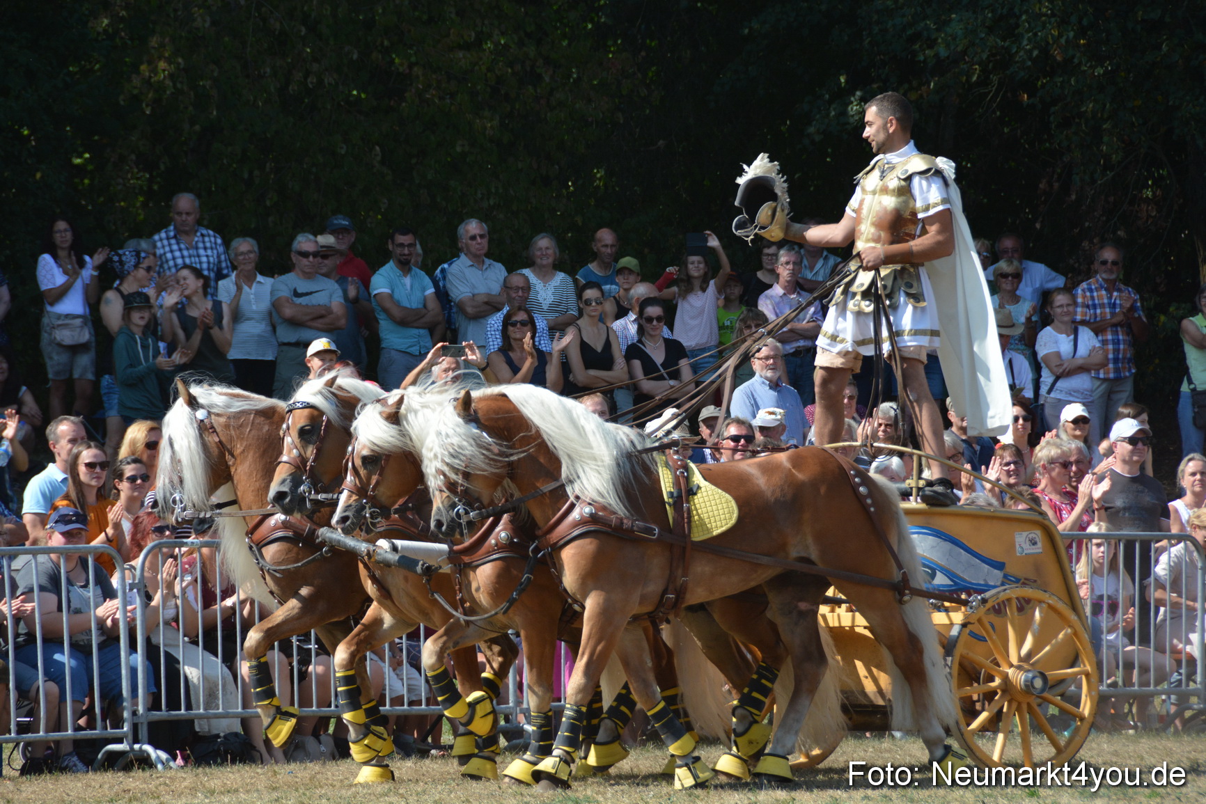 Pferde und Fohlenschau JURA Volksfest 2018 0320