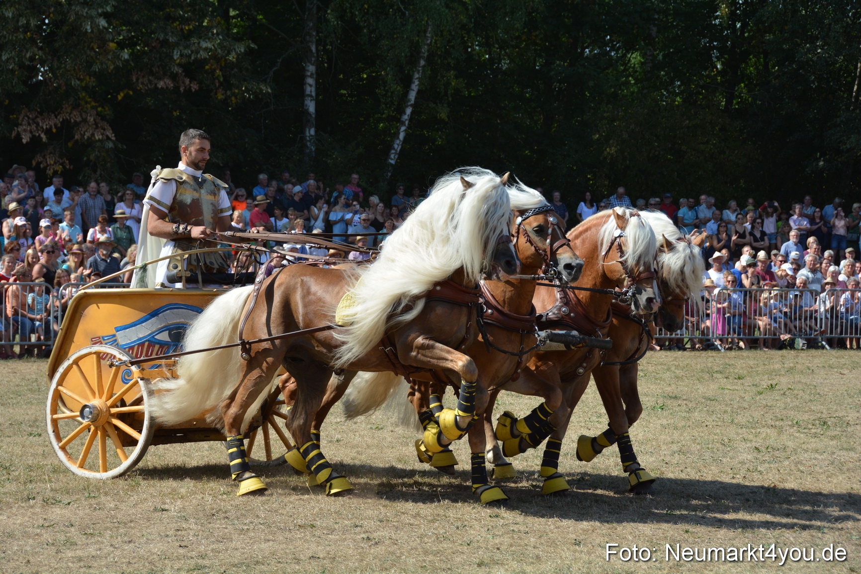 Pferde und Fohlenschau JURA Volksfest 2018 0321