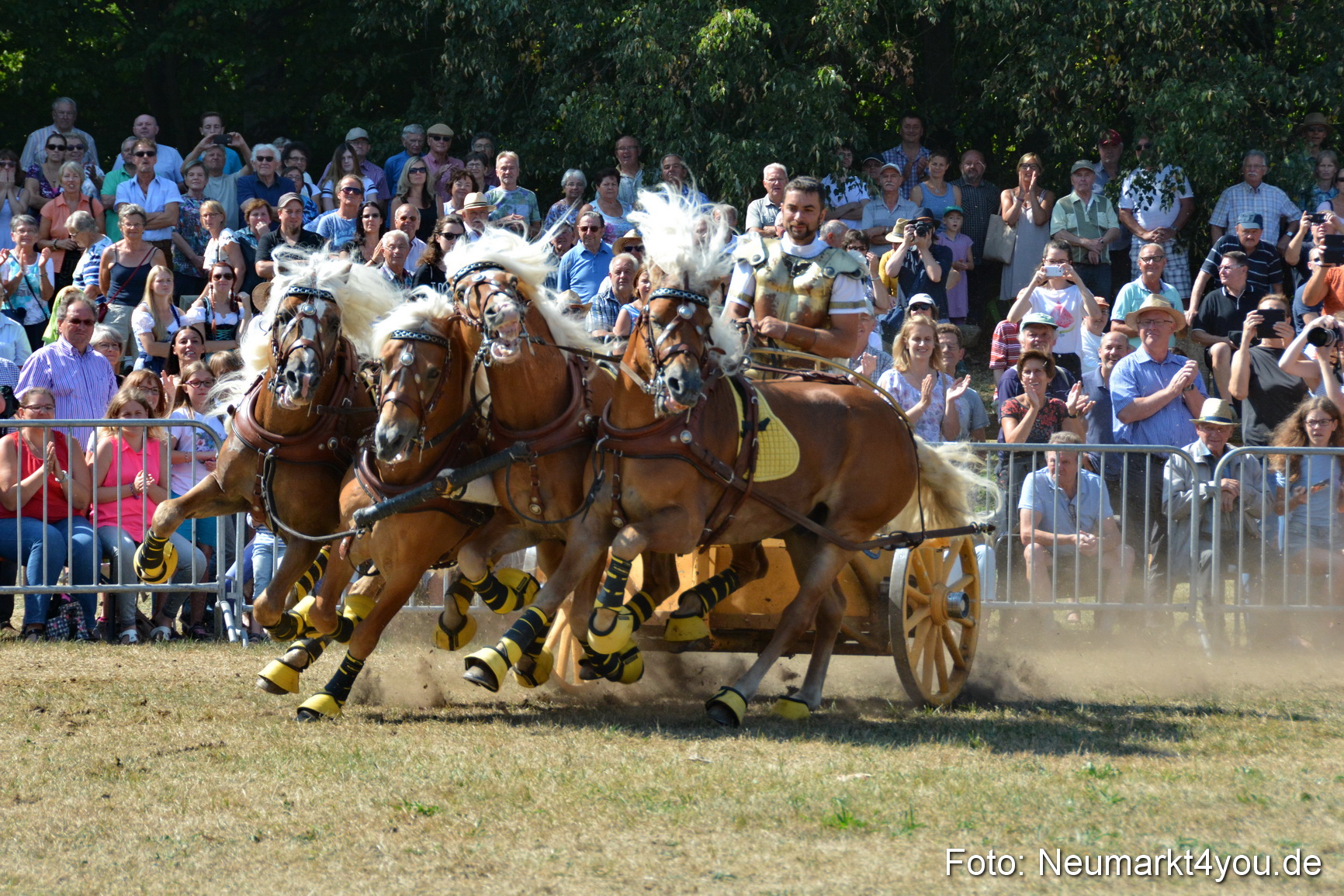 Pferde und Fohlenschau JURA Volksfest 2018 0322
