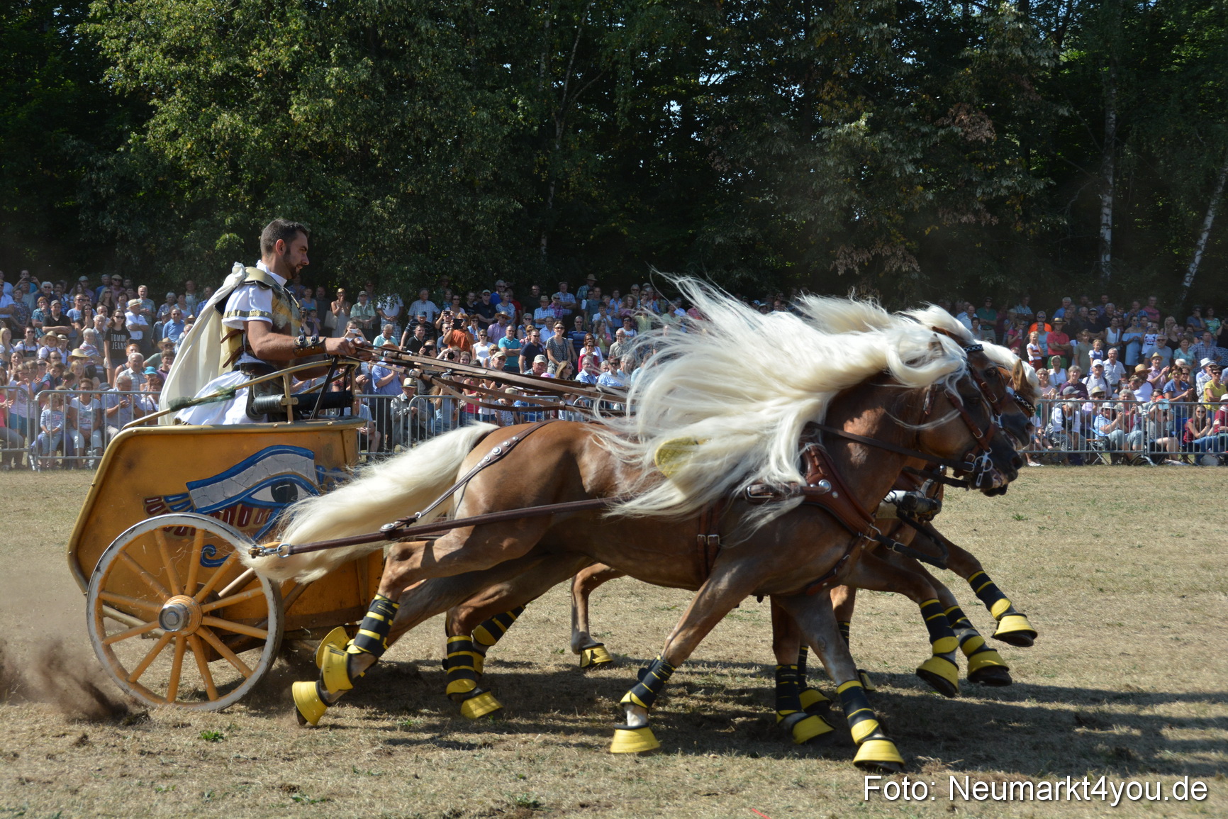 Pferde und Fohlenschau JURA Volksfest 2018 0323