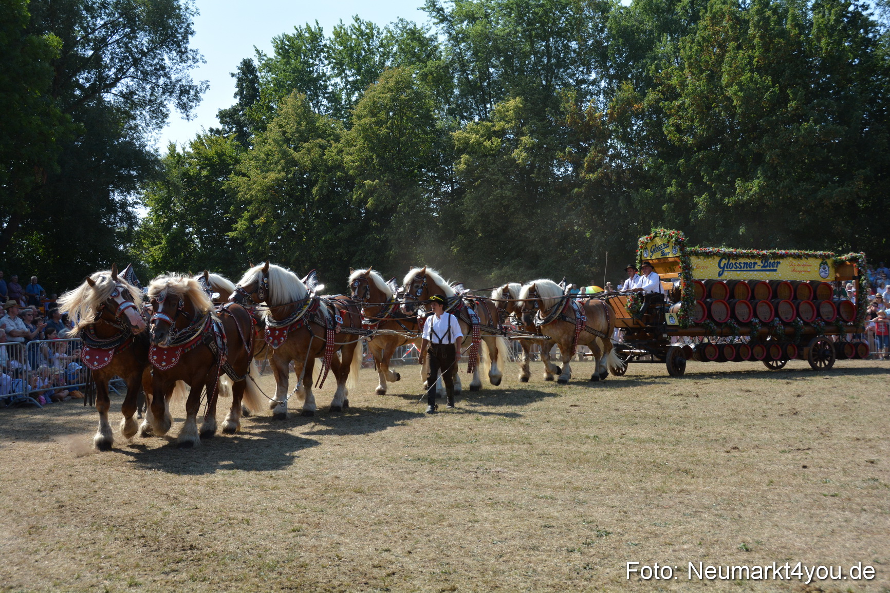 Pferde und Fohlenschau JURA Volksfest 2018 0324