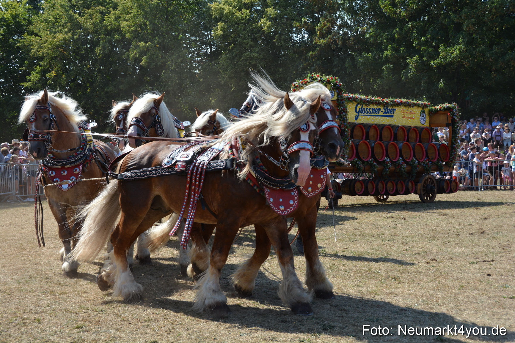 Pferde und Fohlenschau JURA Volksfest 2018 0325
