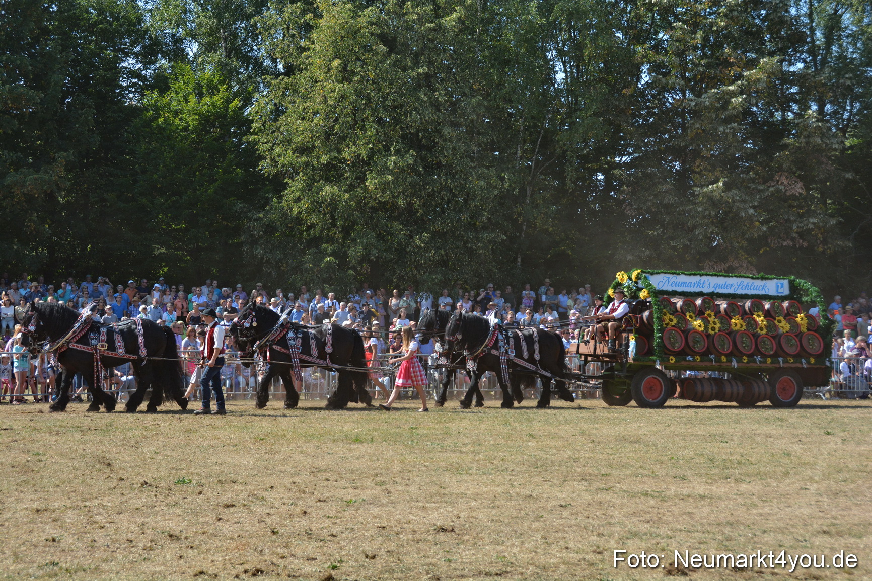 Pferde und Fohlenschau JURA Volksfest 2018 0328
