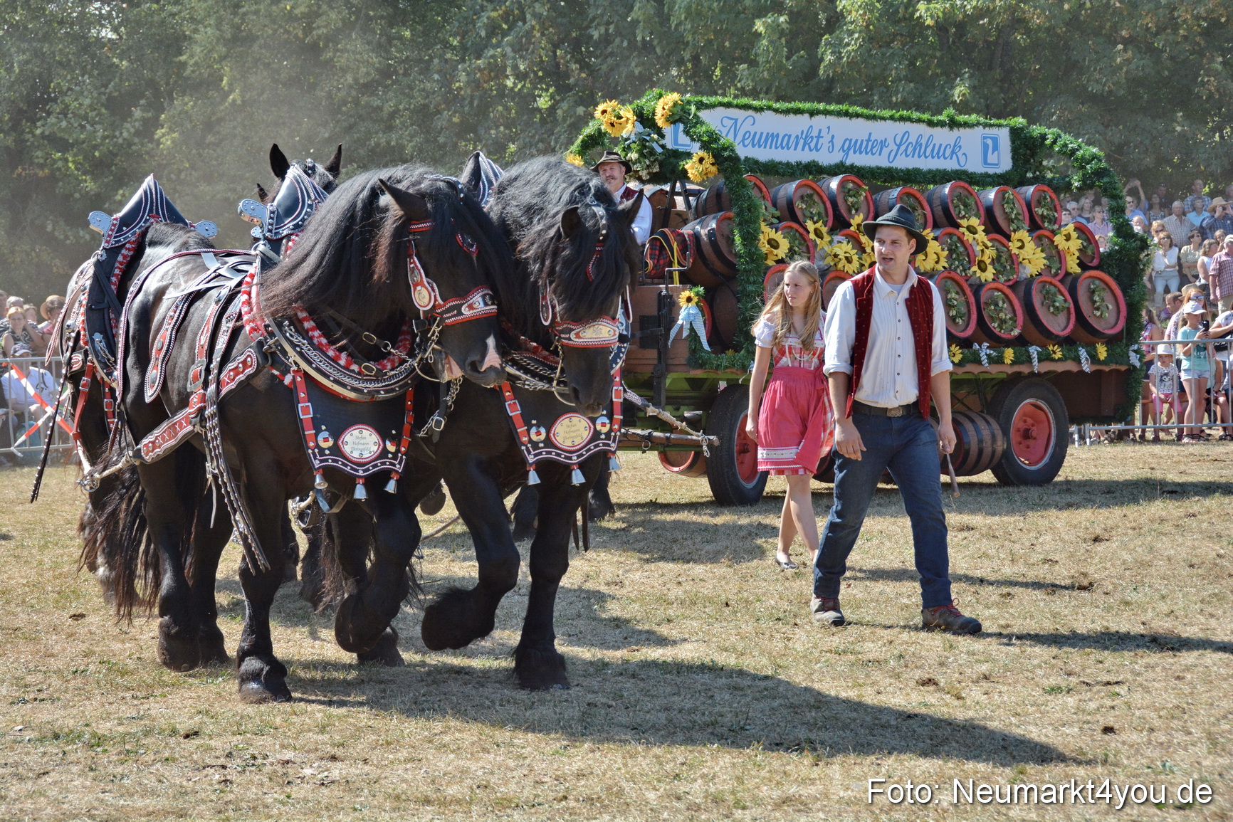 Pferde und Fohlenschau JURA Volksfest 2018 0329