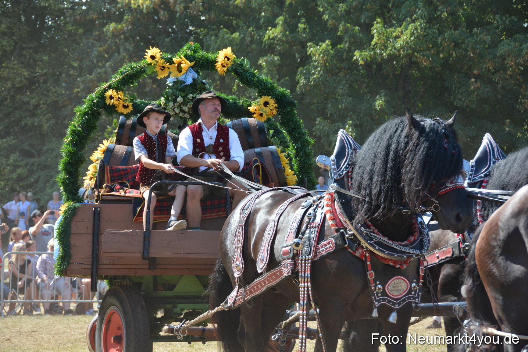 Pferde und Fohlenschau JURA Volksfest 2018 0330