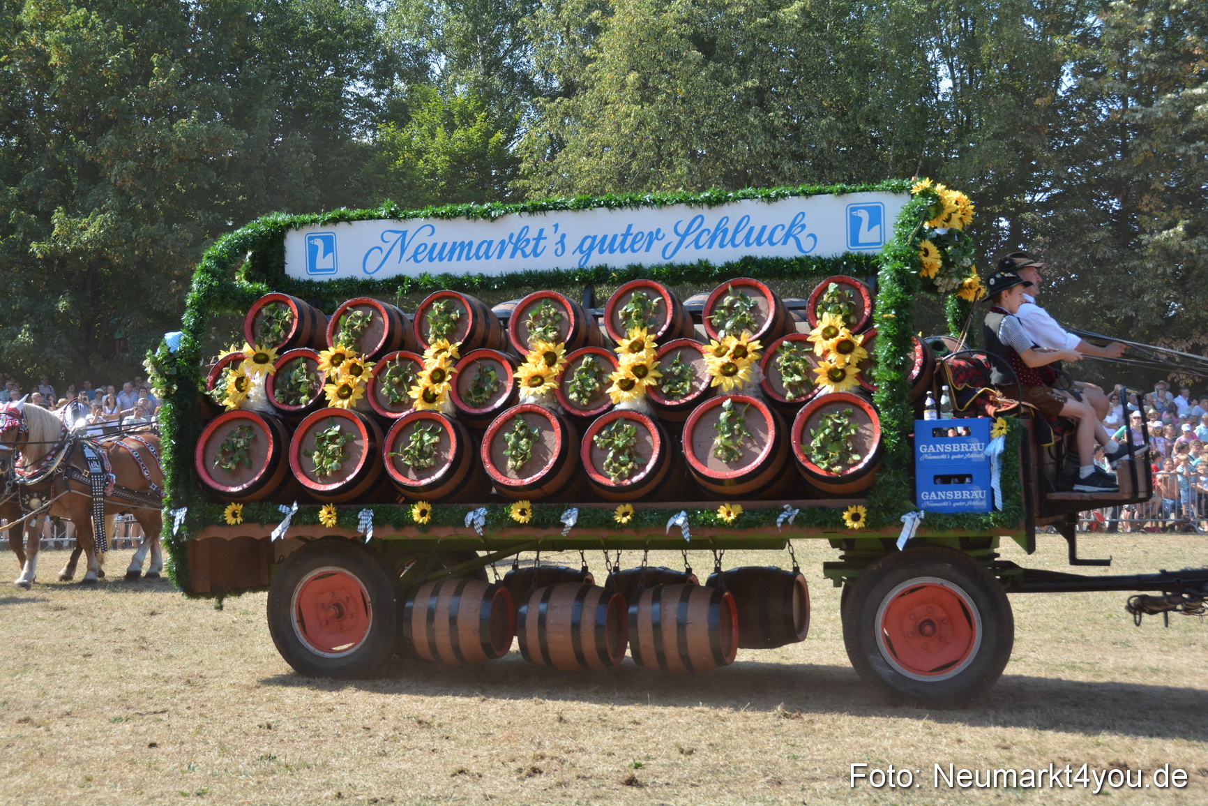 Pferde und Fohlenschau JURA Volksfest 2018 0331