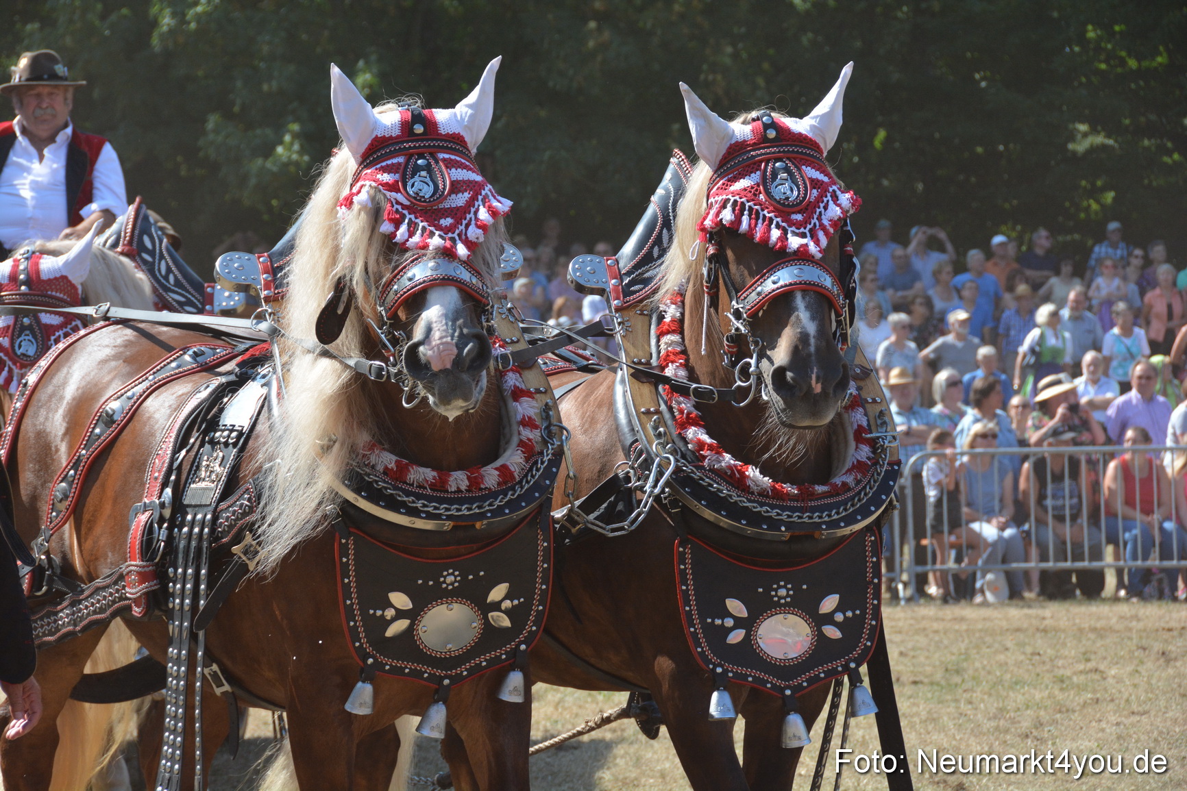 Pferde und Fohlenschau JURA Volksfest 2018 0333