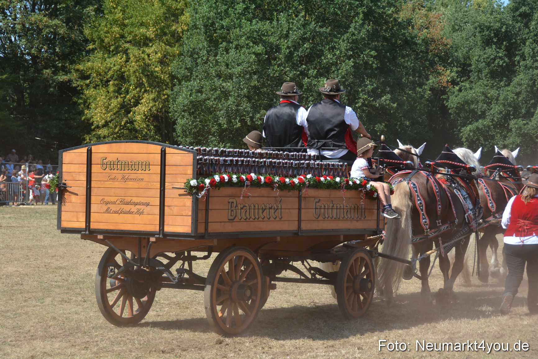 Pferde und Fohlenschau JURA Volksfest 2018 0334