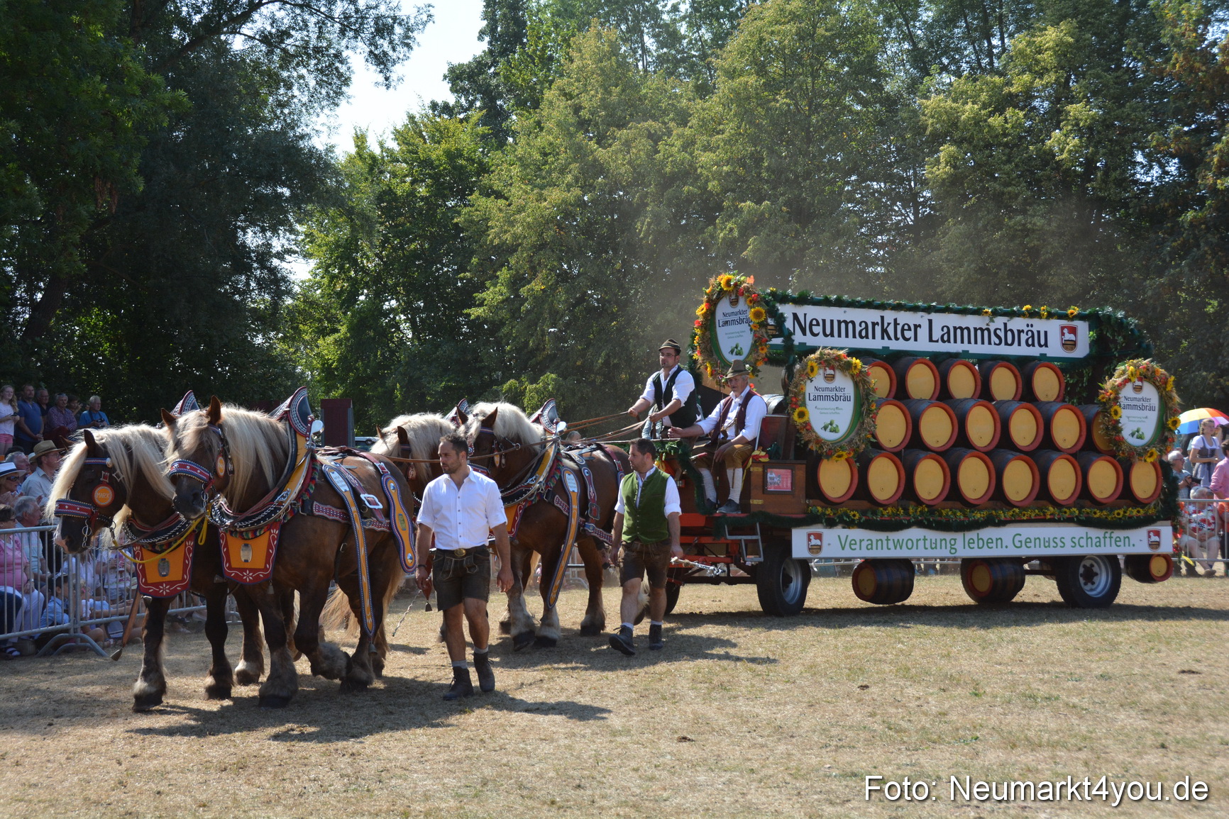 Pferde und Fohlenschau JURA Volksfest 2018 0337