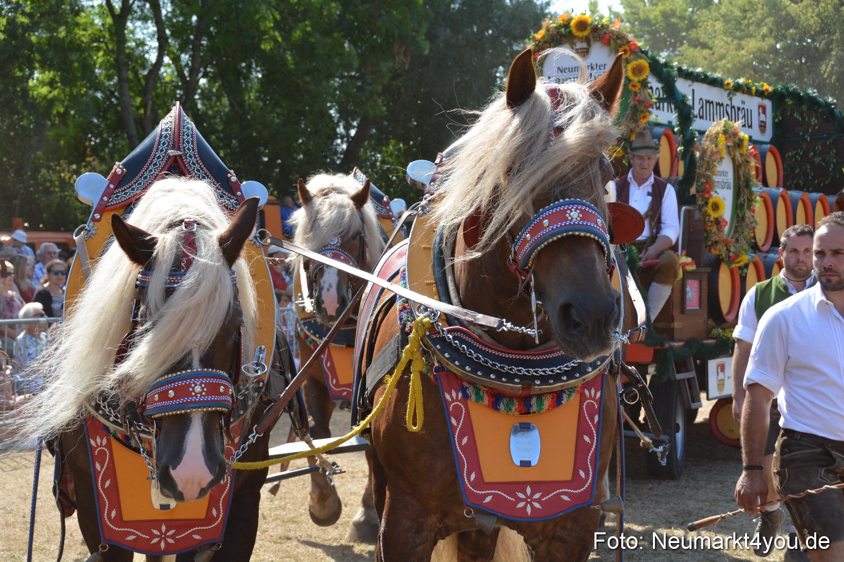 Pferde und Fohlenschau JURA Volksfest 2018 0339