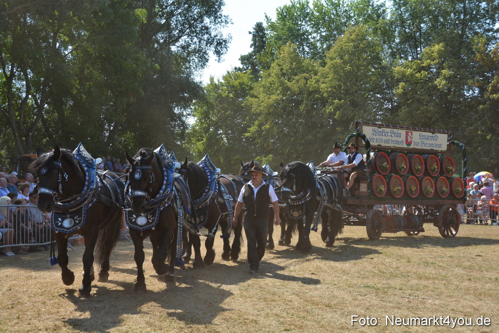 Pferde und Fohlenschau JURA Volksfest 2018 0343