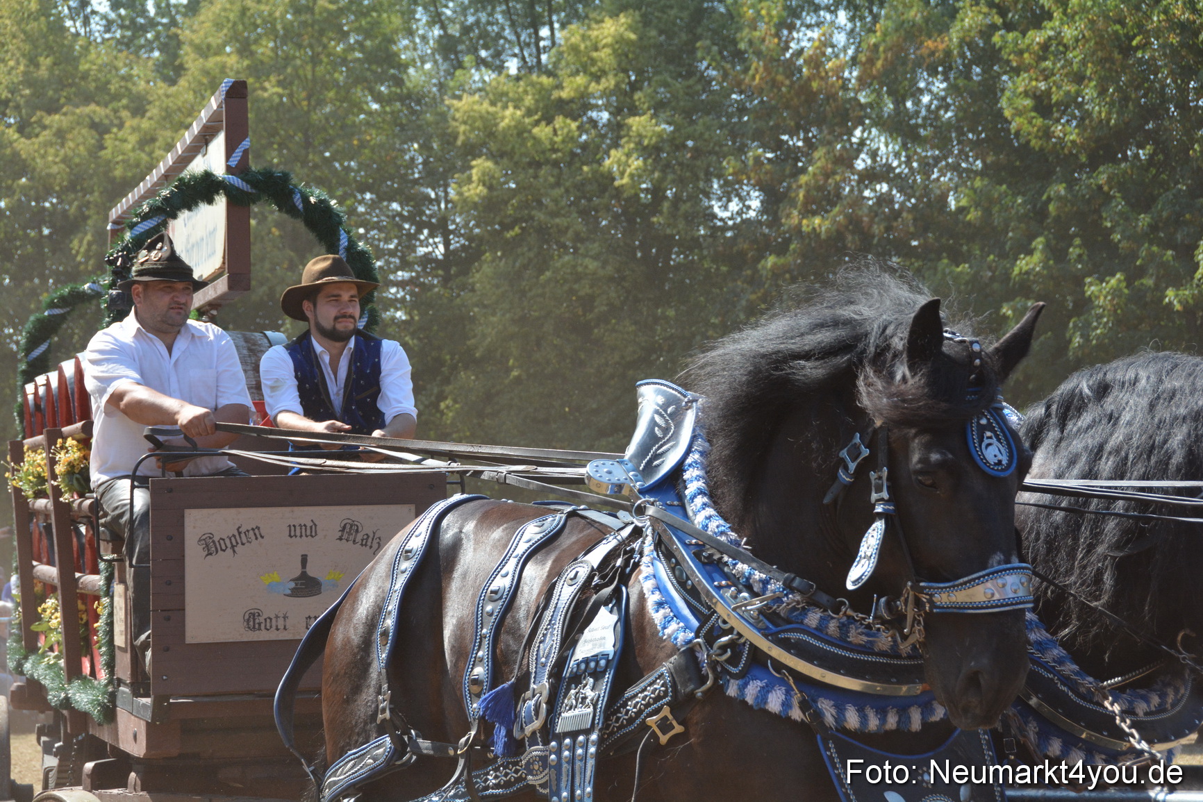 Pferde und Fohlenschau JURA Volksfest 2018 0345