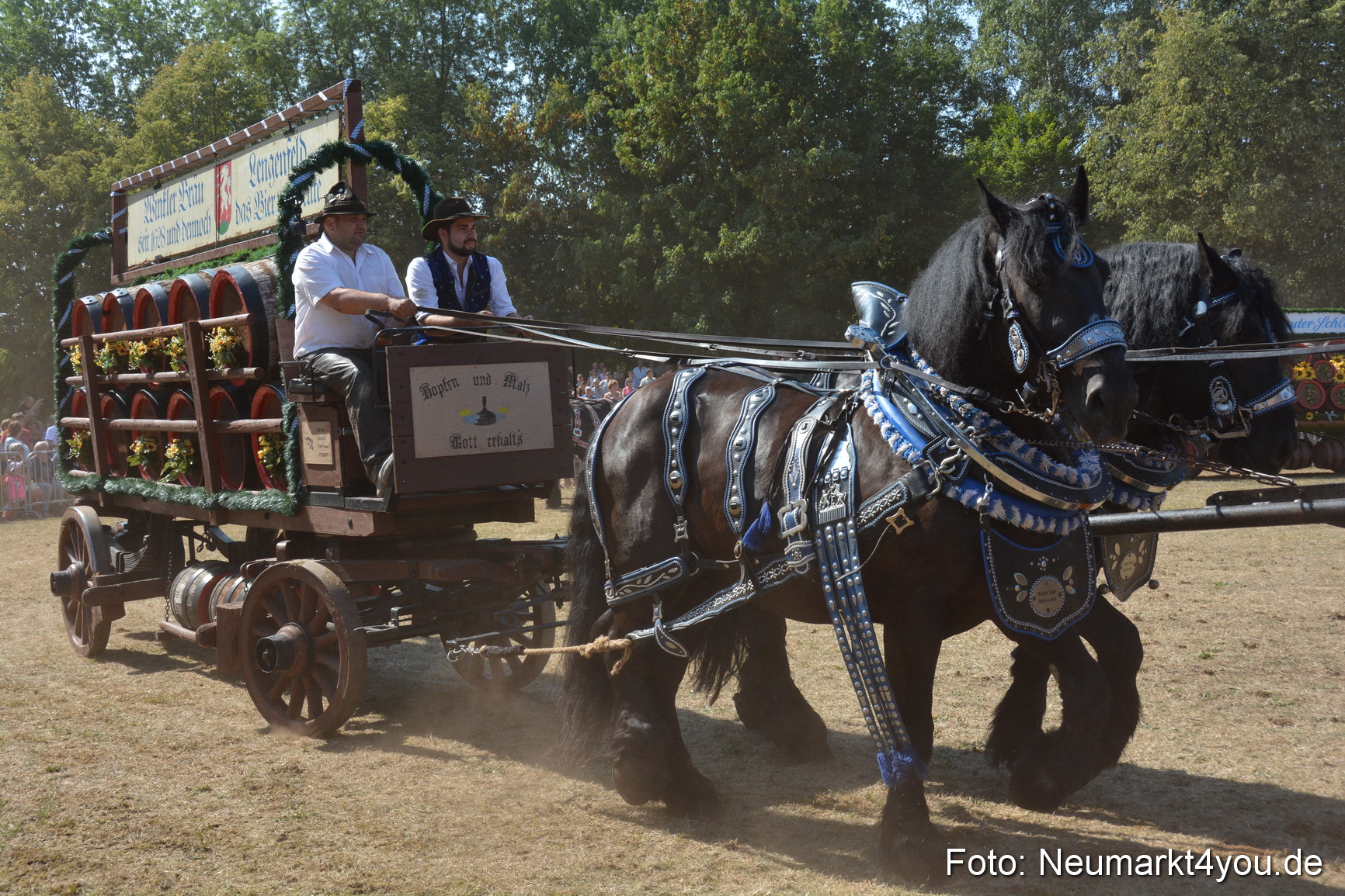Pferde und Fohlenschau JURA Volksfest 2018 0346