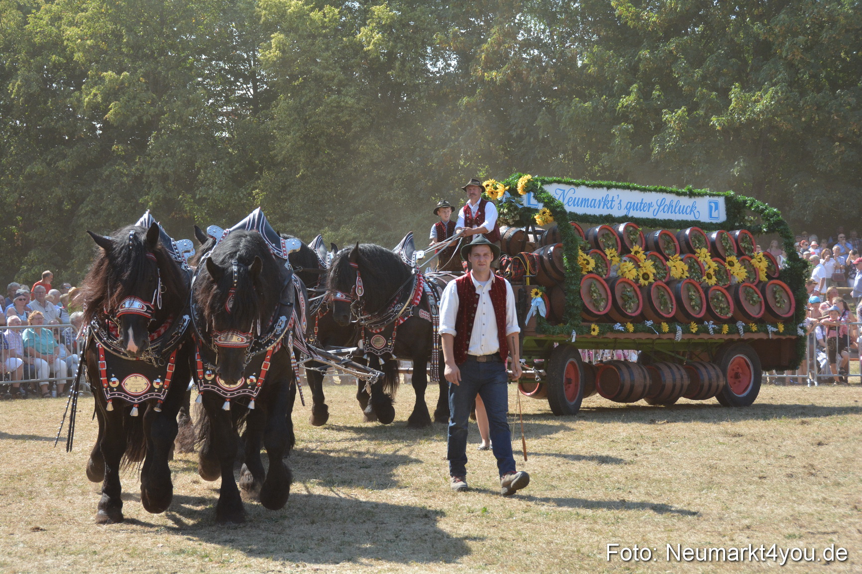 Pferde und Fohlenschau JURA Volksfest 2018 0349